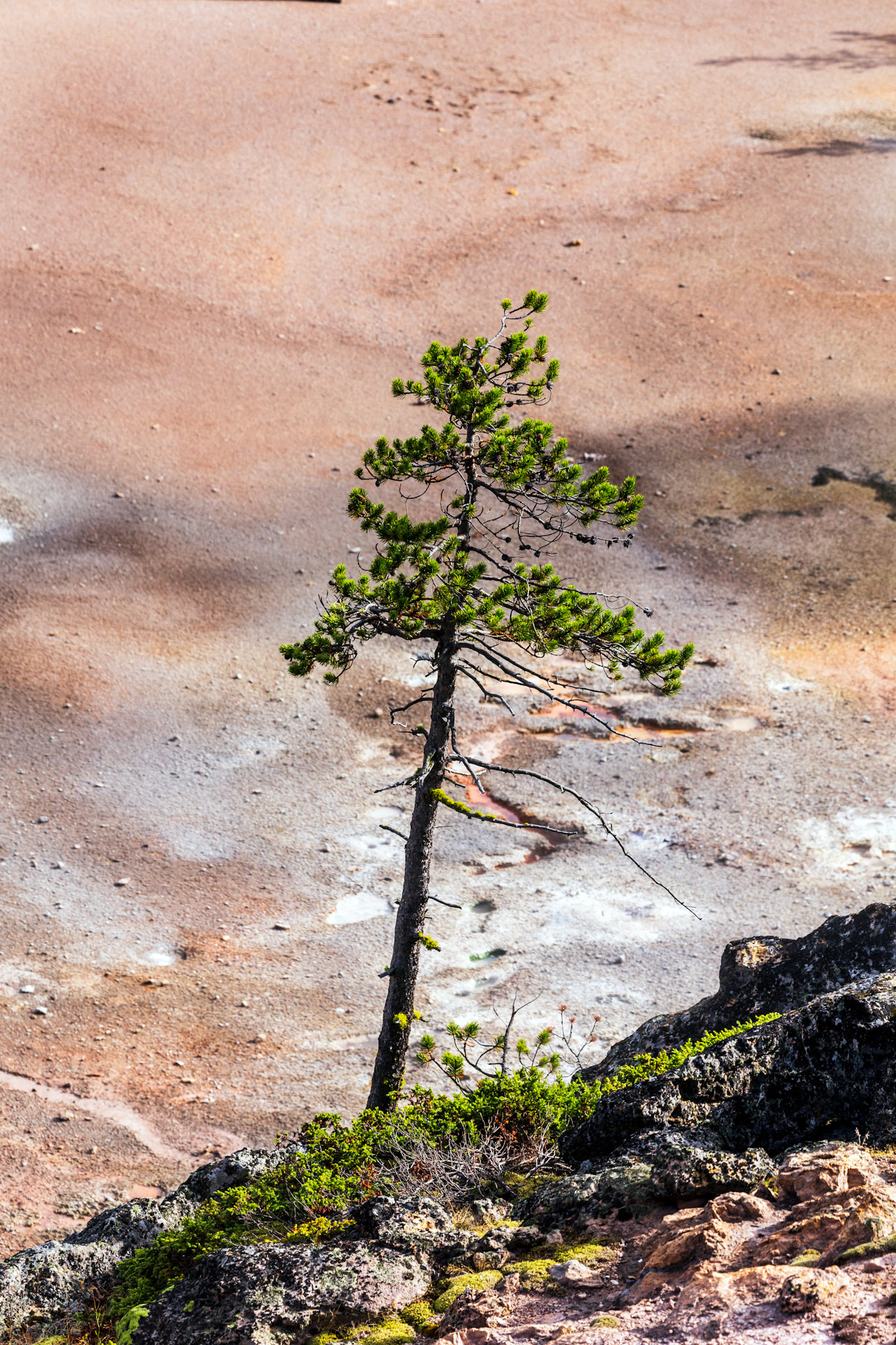 Artist Paint Pot Trail, Yellowstone National Park, Wyoming.