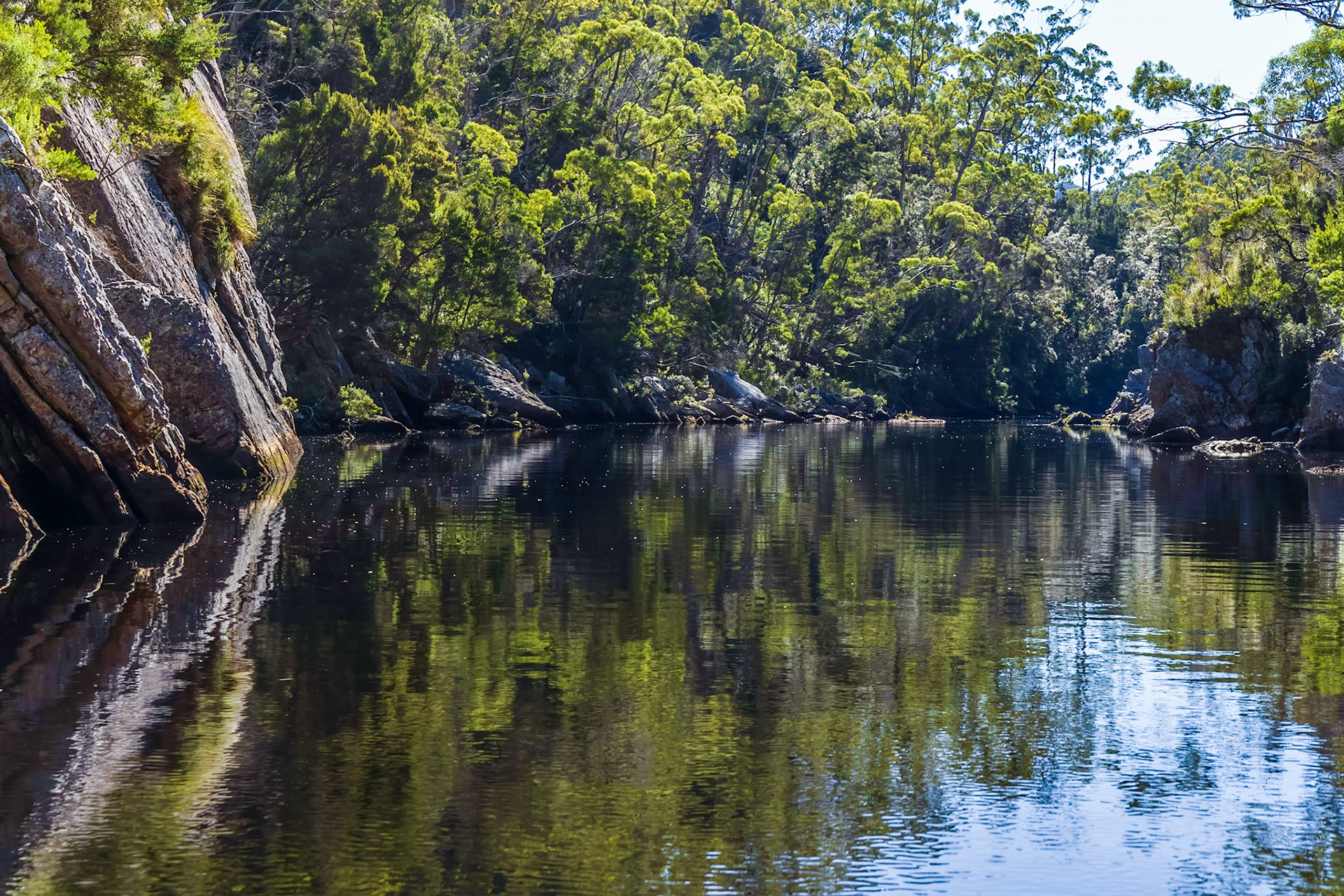 In the Davey River Gorge.