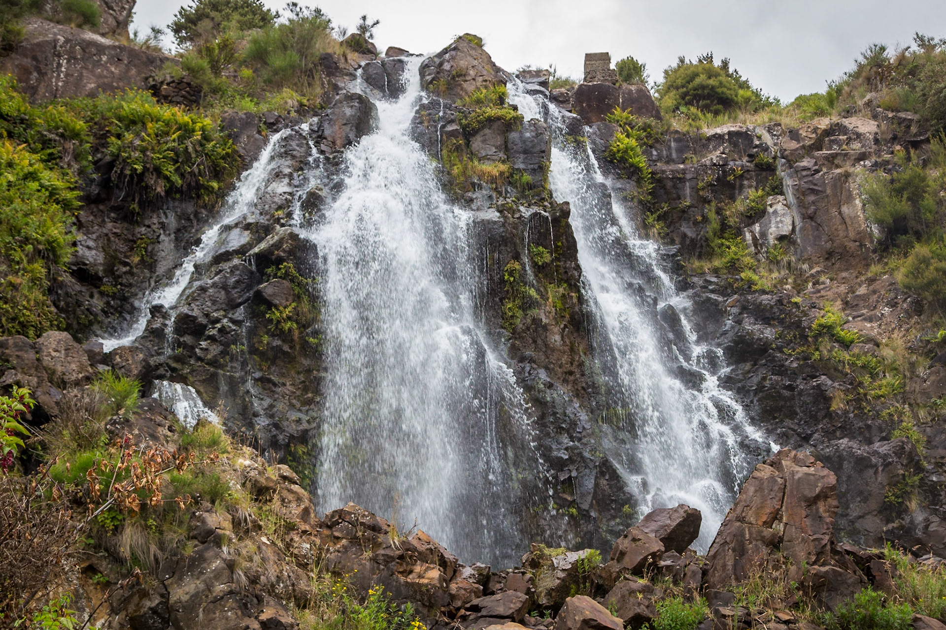 Waratah Waterfall
