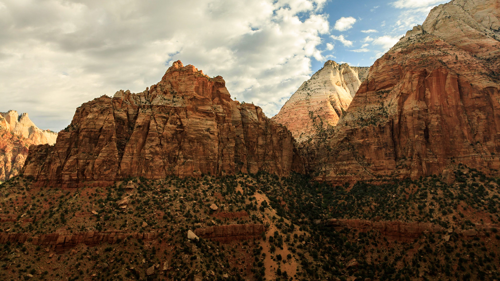 Along the Zion - Mt Carmel Highway
