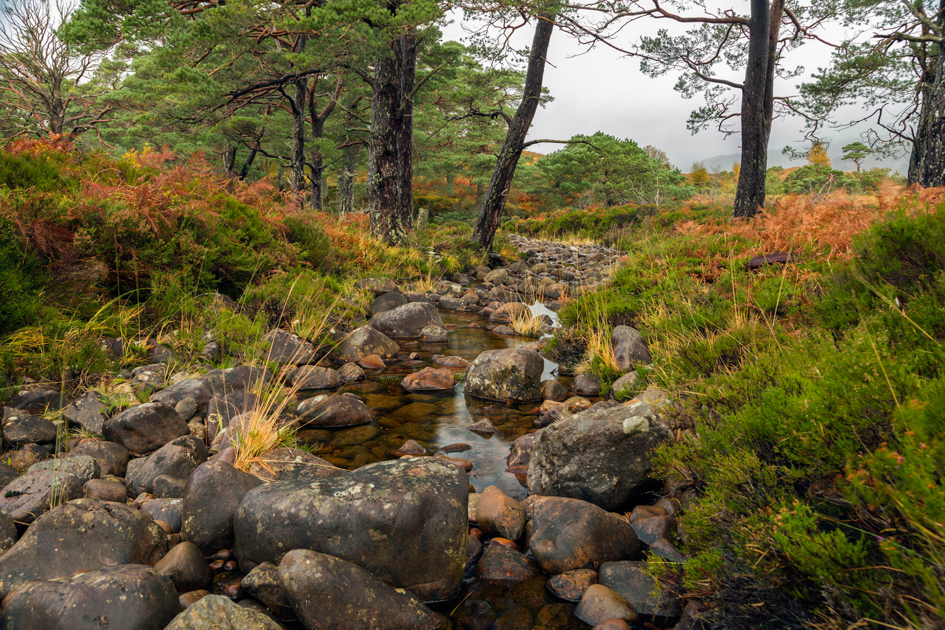 Where the A832 crosses the River Gruide