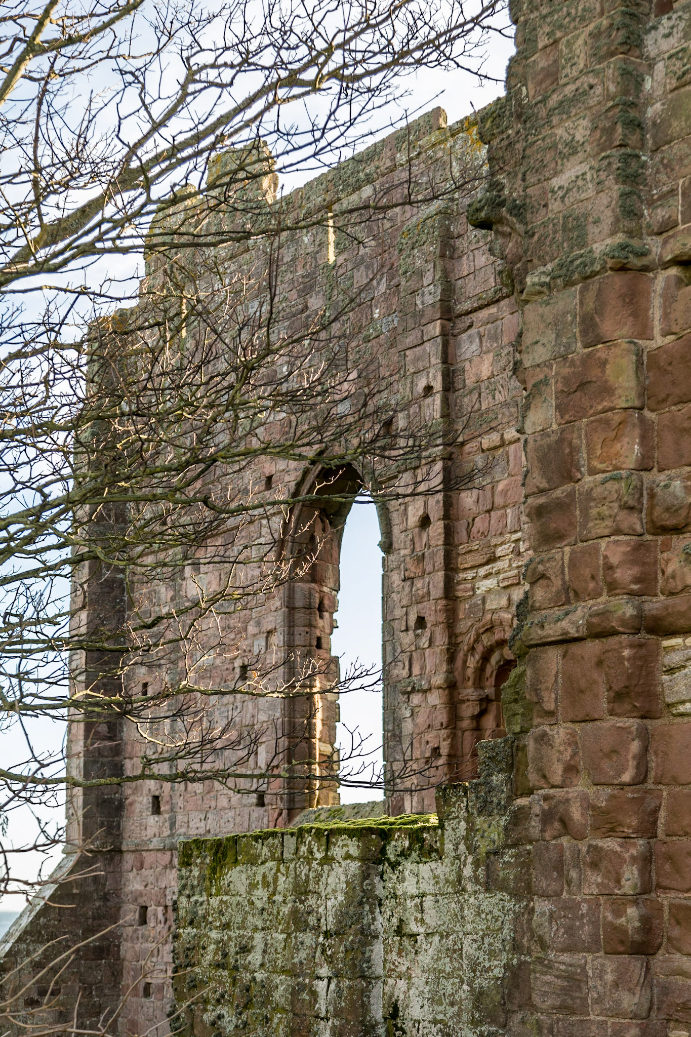 In the ruins of Lindisfarne Monastery, Holy Island