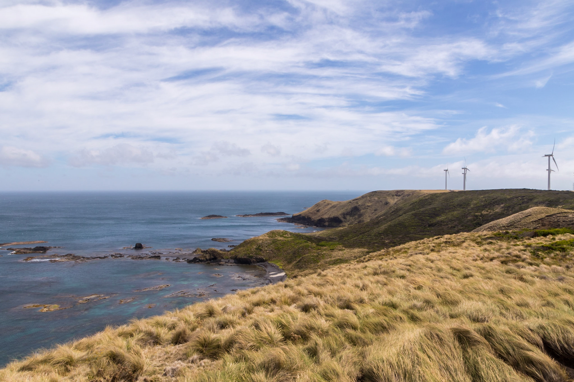 Southern Ocean coast adjacent to the Woolnorth wind farm, North West corner of Tasmania