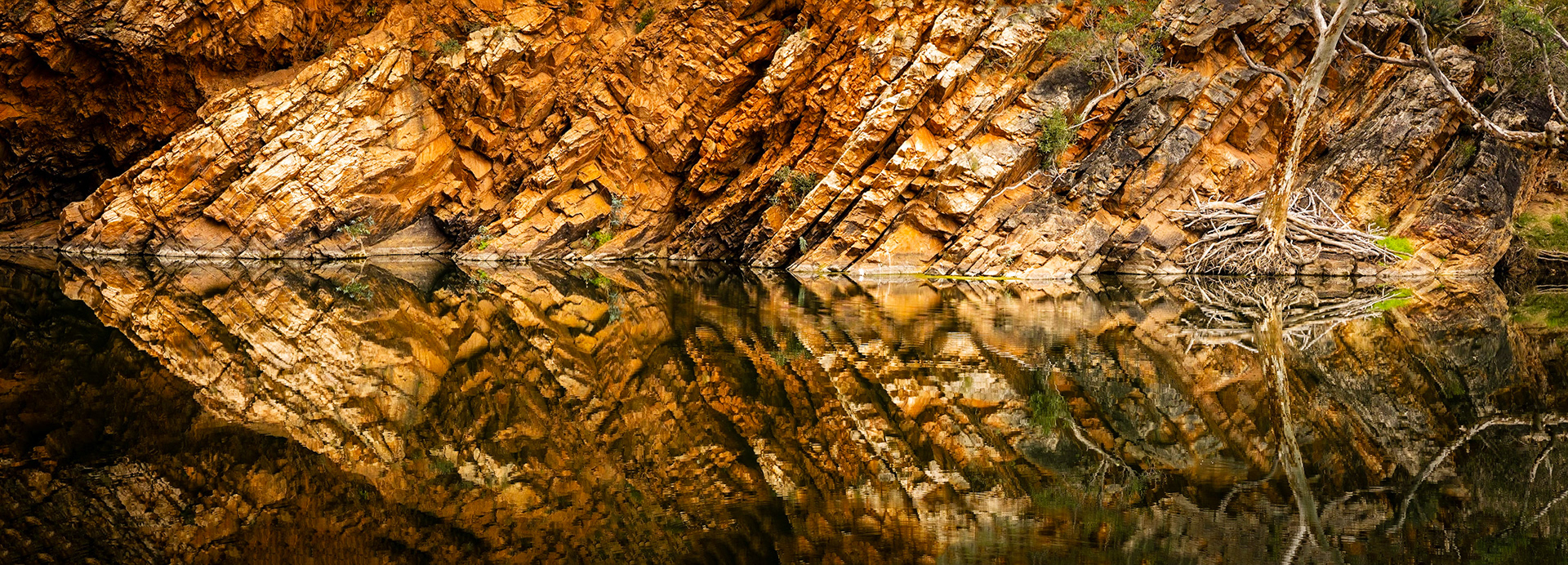 Ellery Creek Big Hole