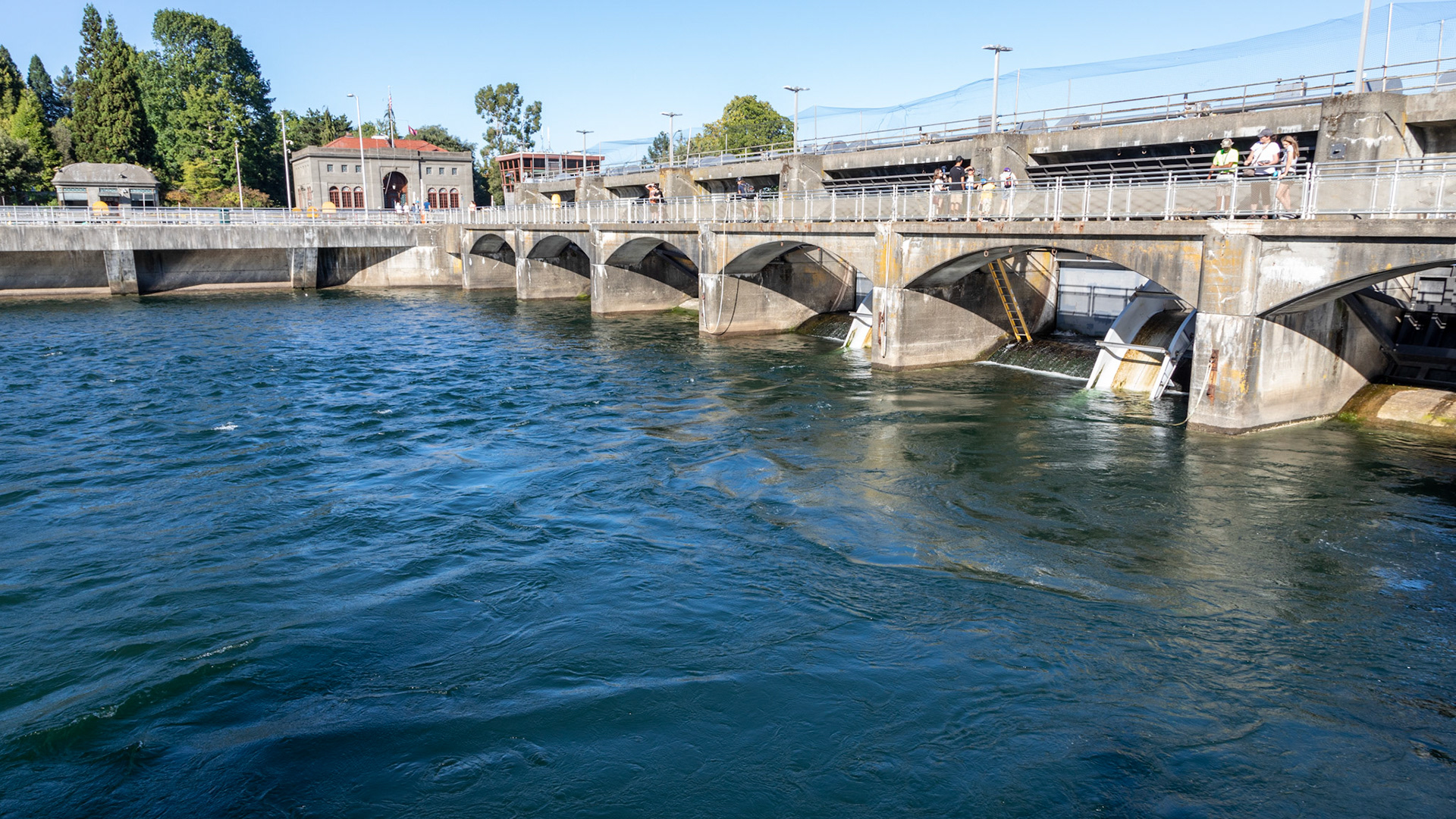 Ballard (Hiram M. Chittenden) Locks: Linking Lake Washington to the sea.