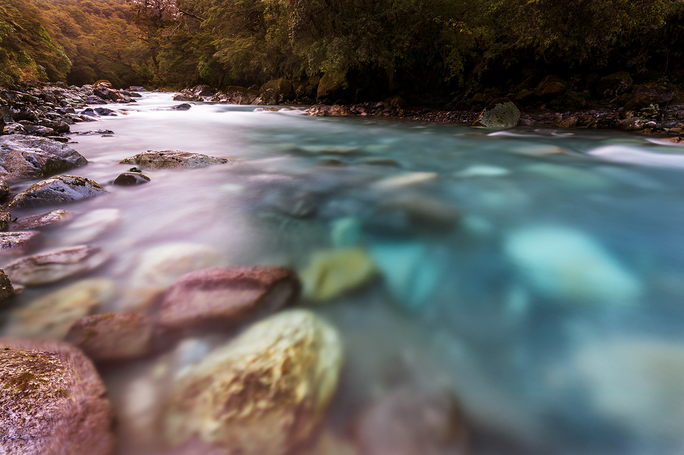 Hollyford River, Southland
