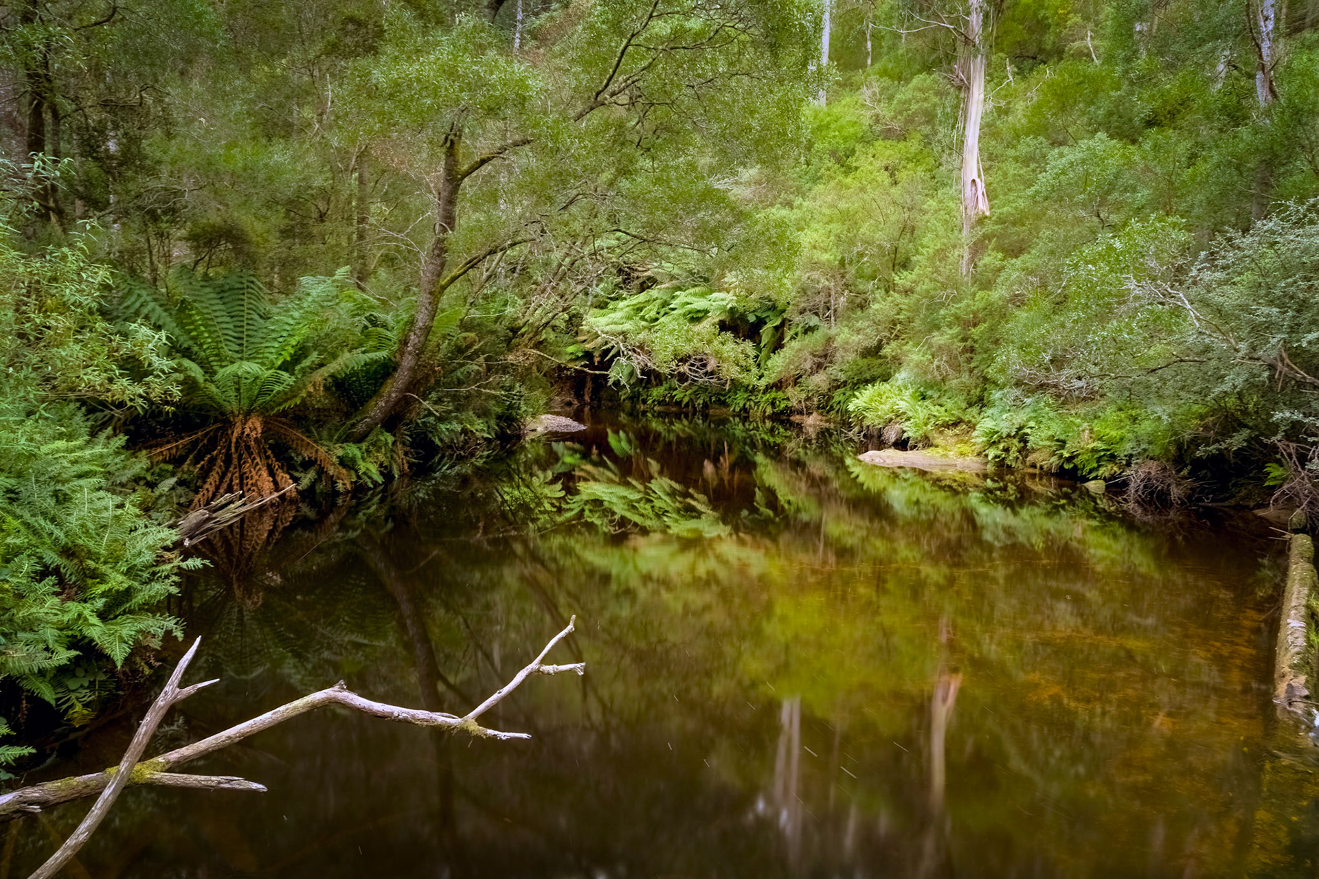 Water Pool above the Groom River weir