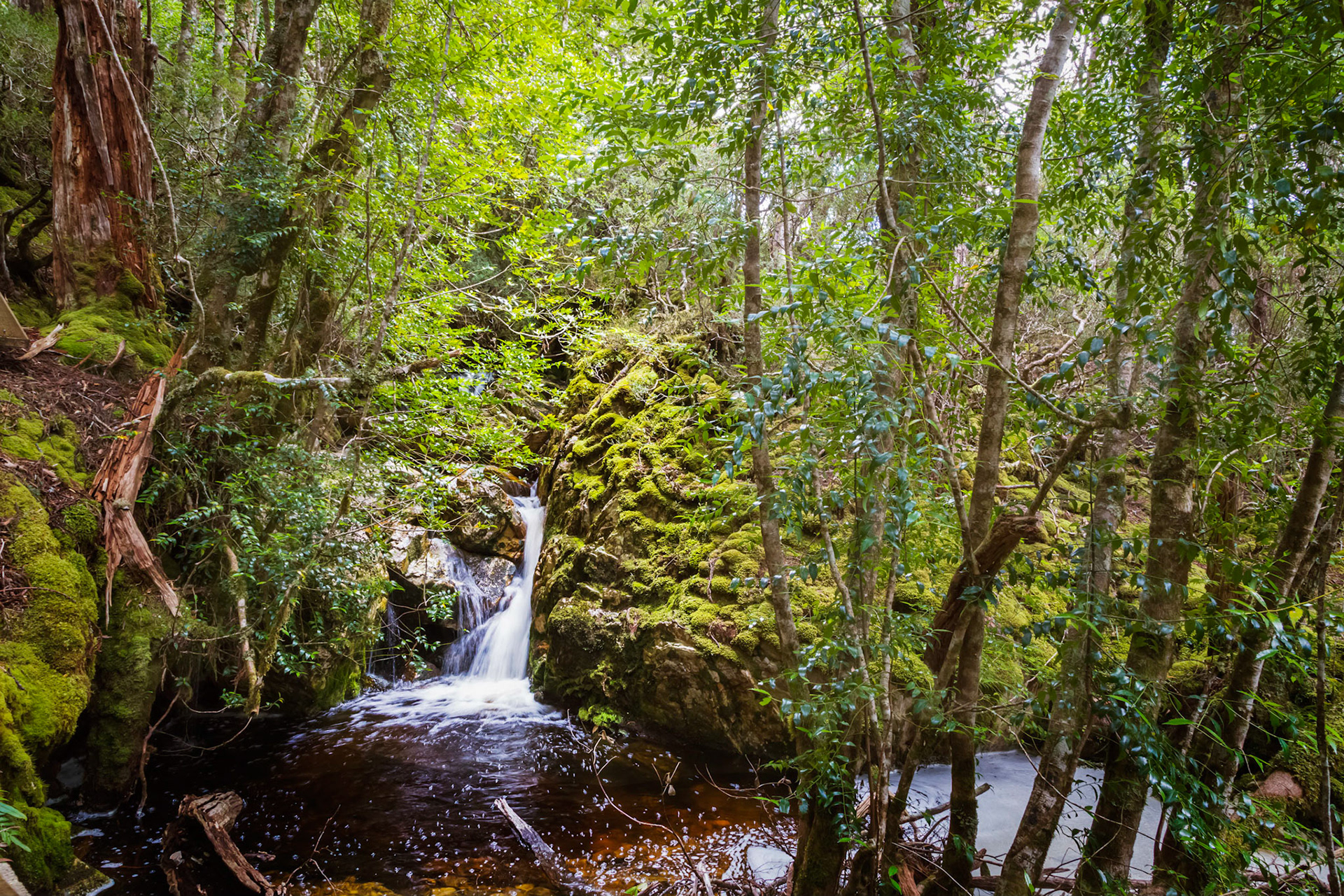 A Section of the Crater Falls, Cradle Mountain - Lake St Clair National Park