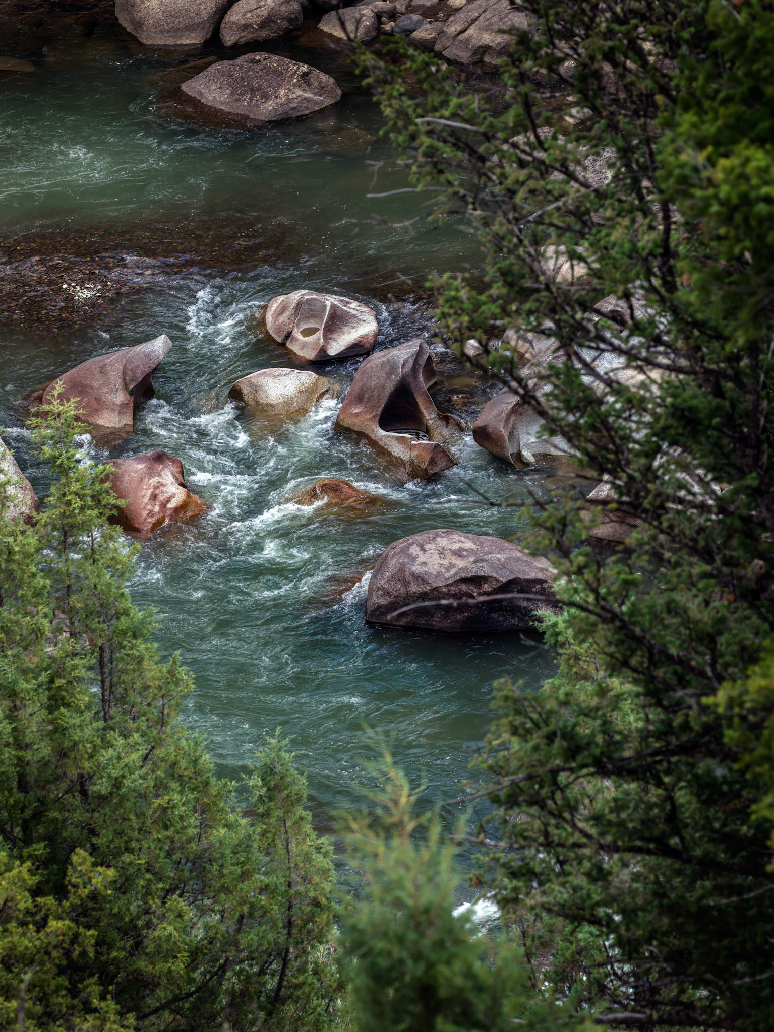 In the Lamar River Canyon