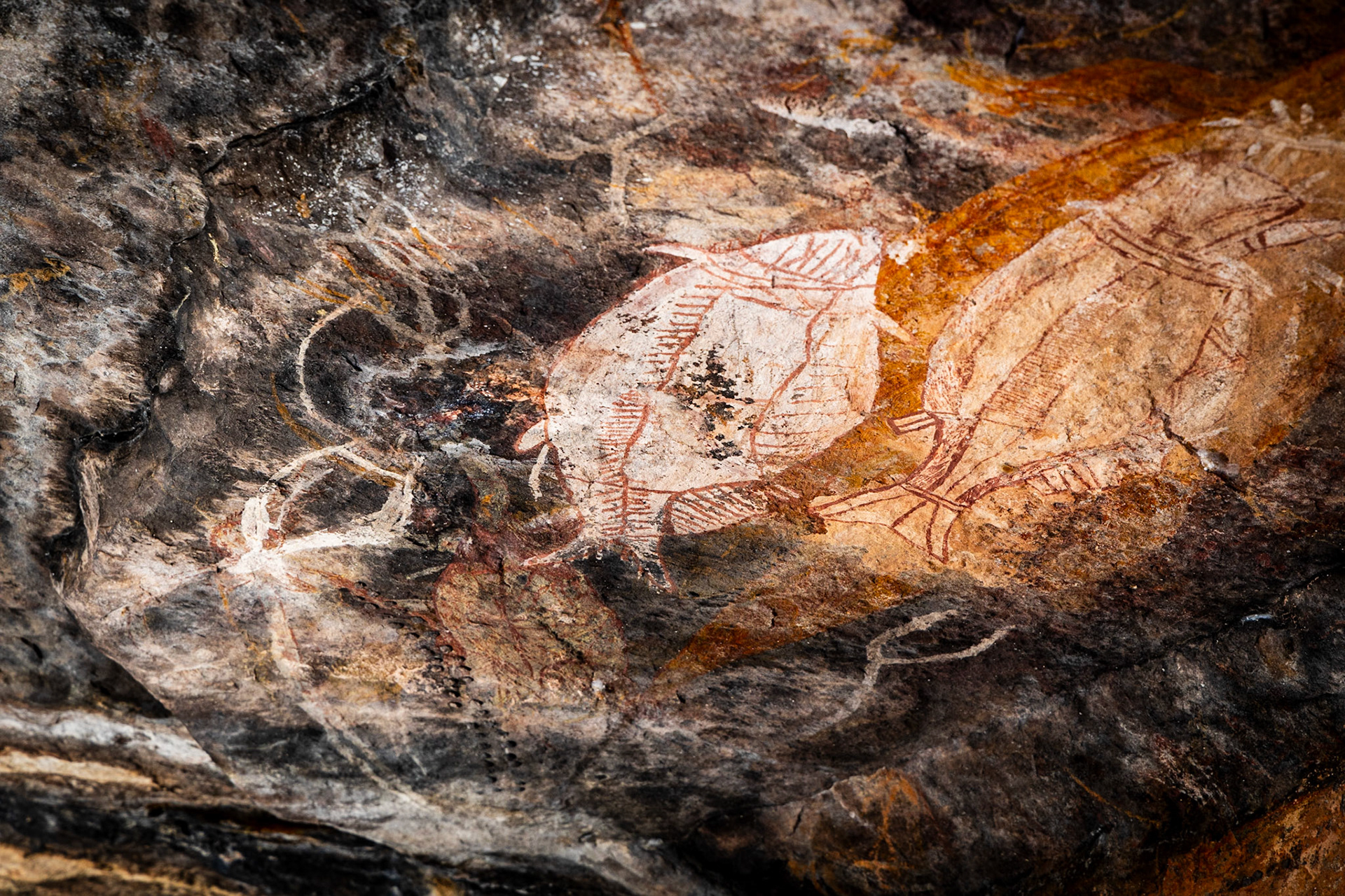 Injalak Hill Rock Art Galleries
