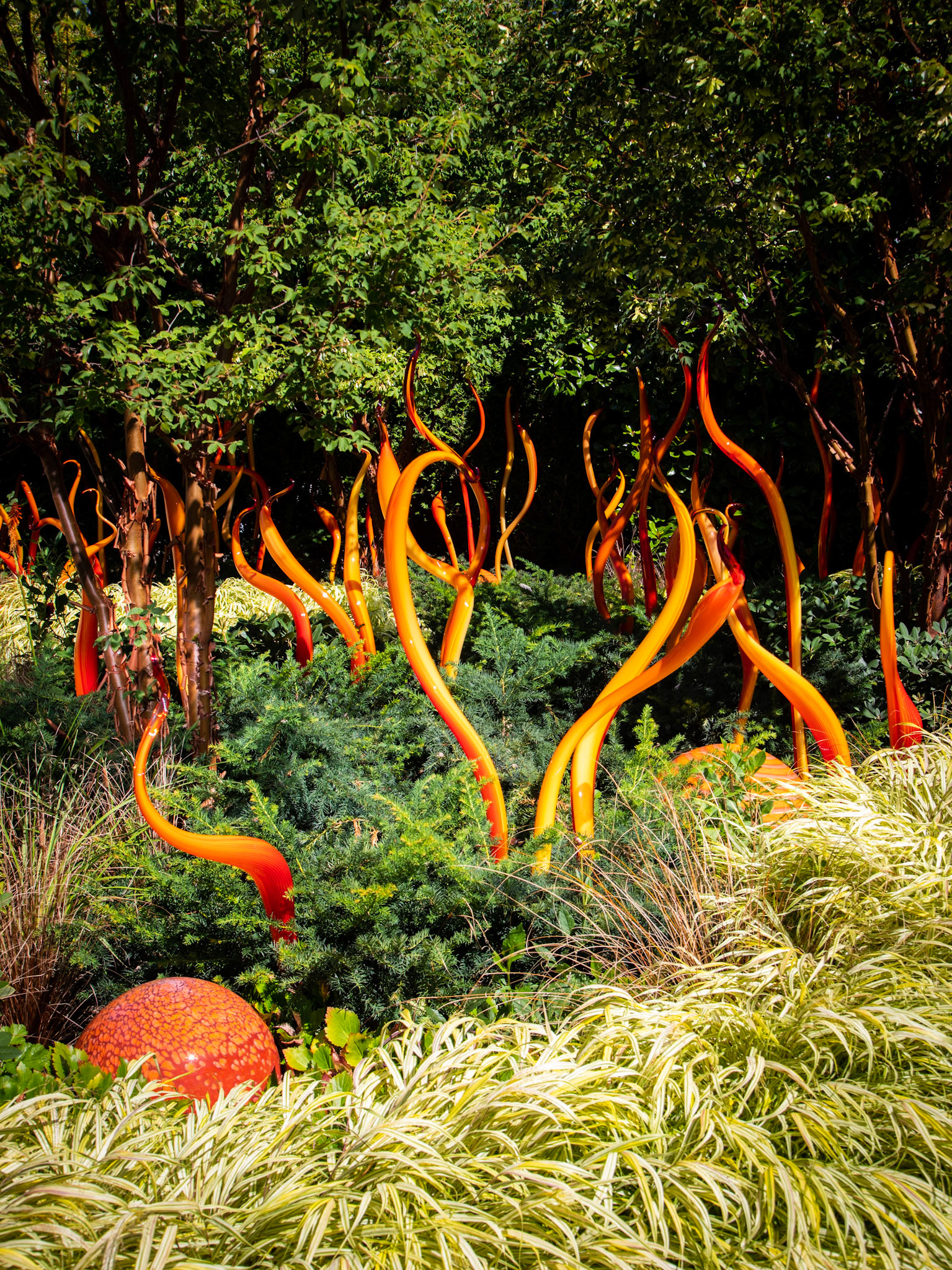 Chihuly Garden & Glass: In the Garden.