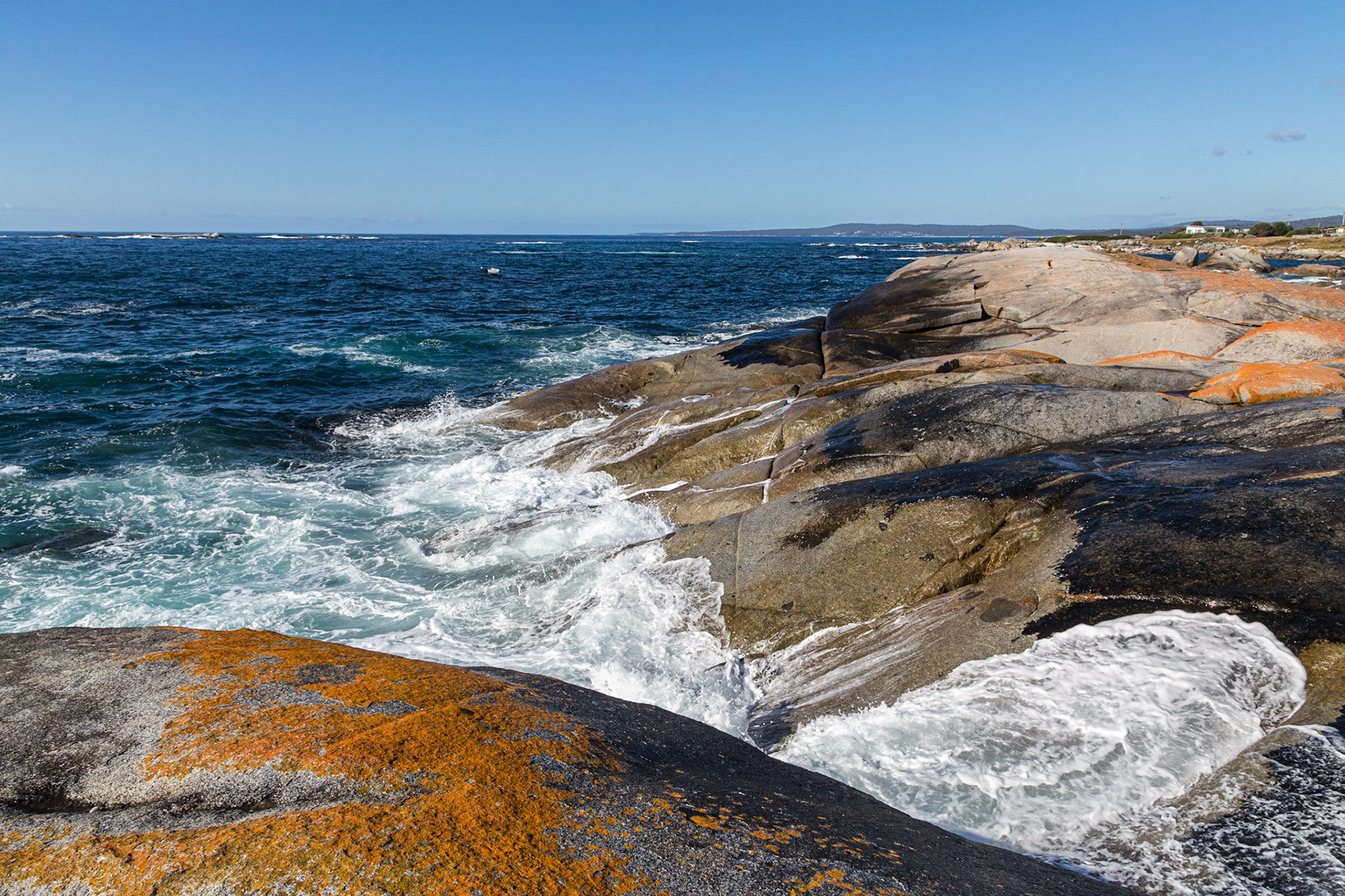 Bay of Fires - Colourful lichen on coastal boulders
