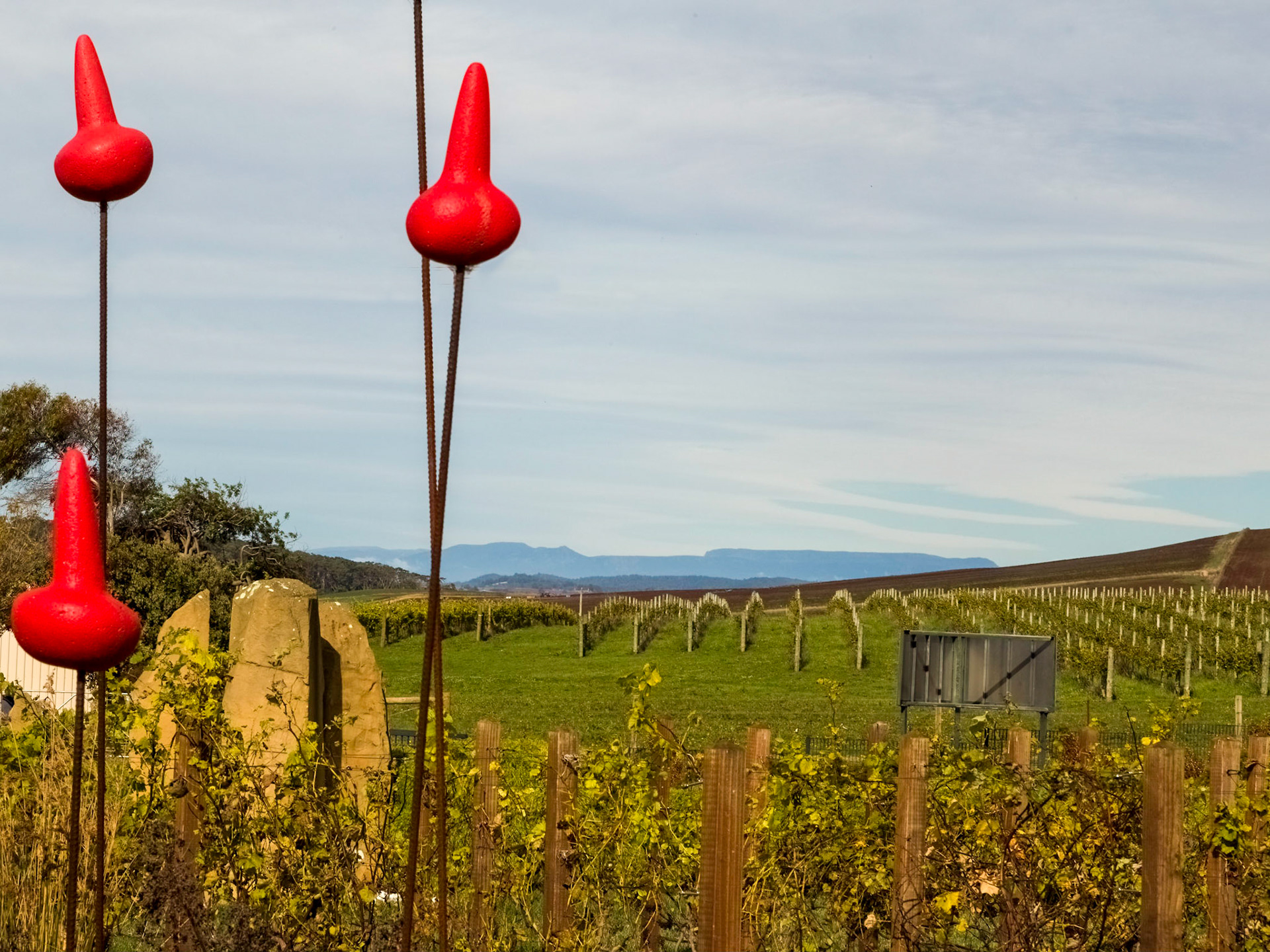 Ghost Rock Wines, Northdown, Port Sorell