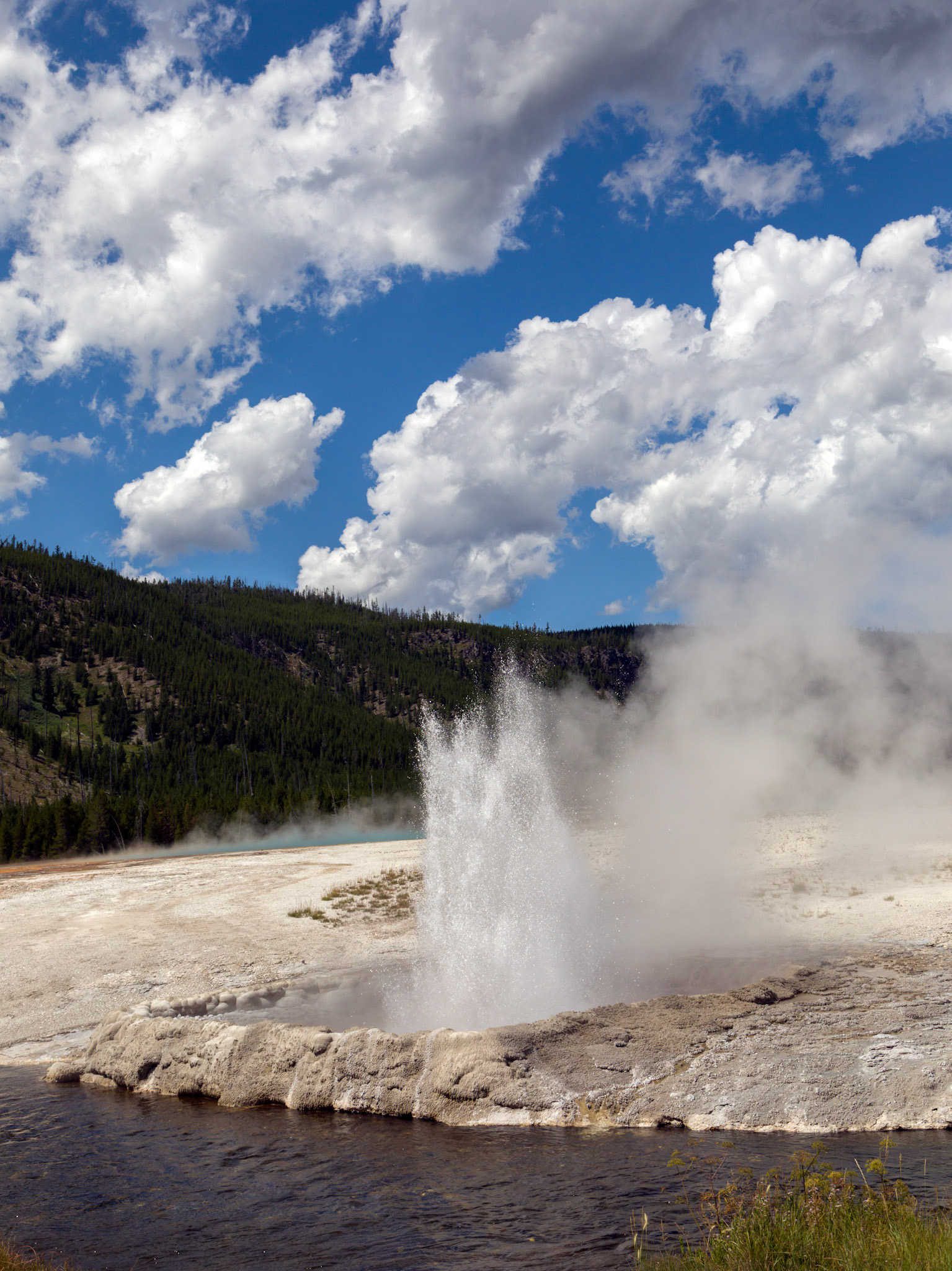 Cliff Geyser, Black Sand Basin, Yellowstone National Park, Wyoming.