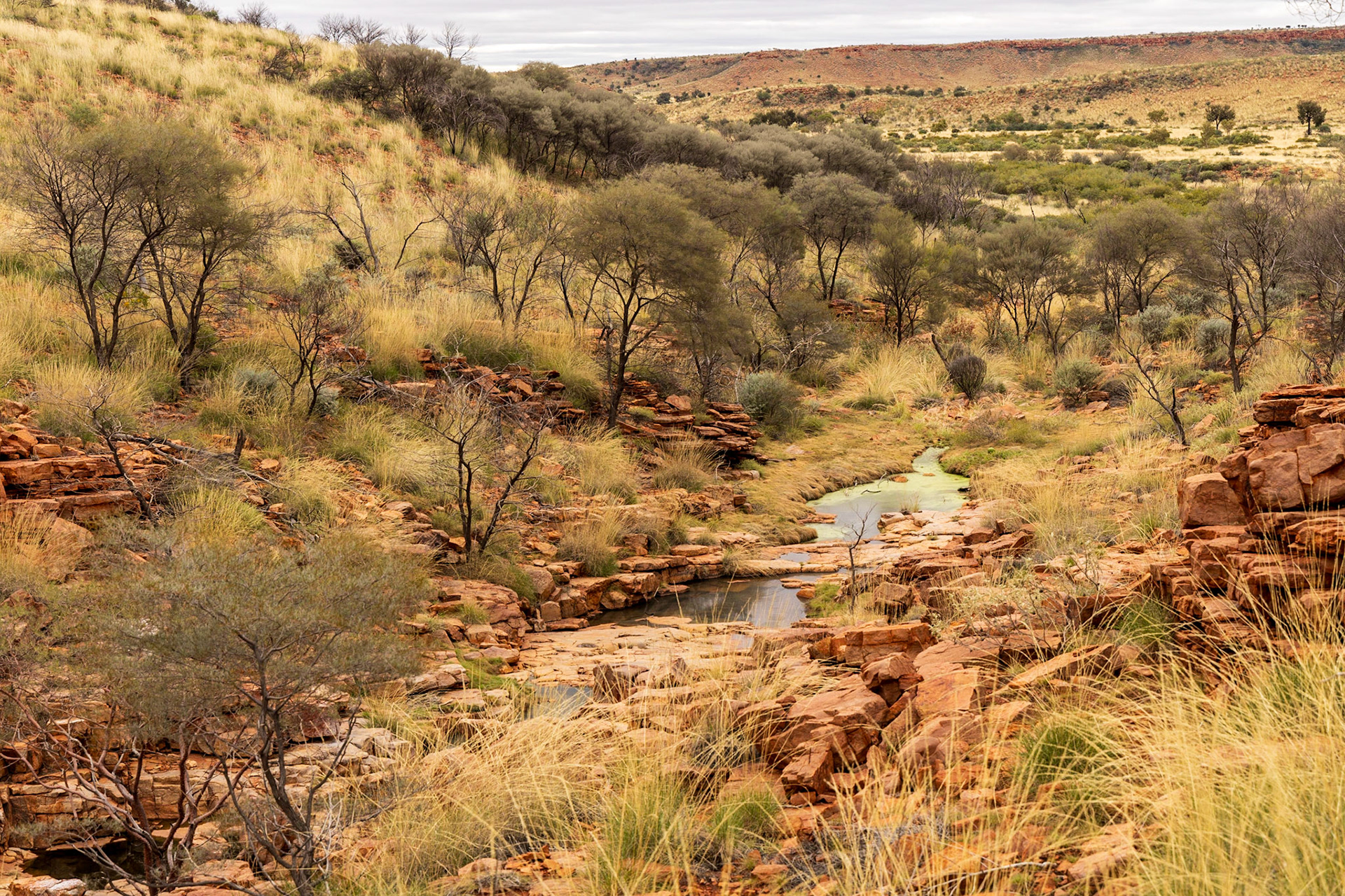 Munderri Outstation surrounds, Day 9