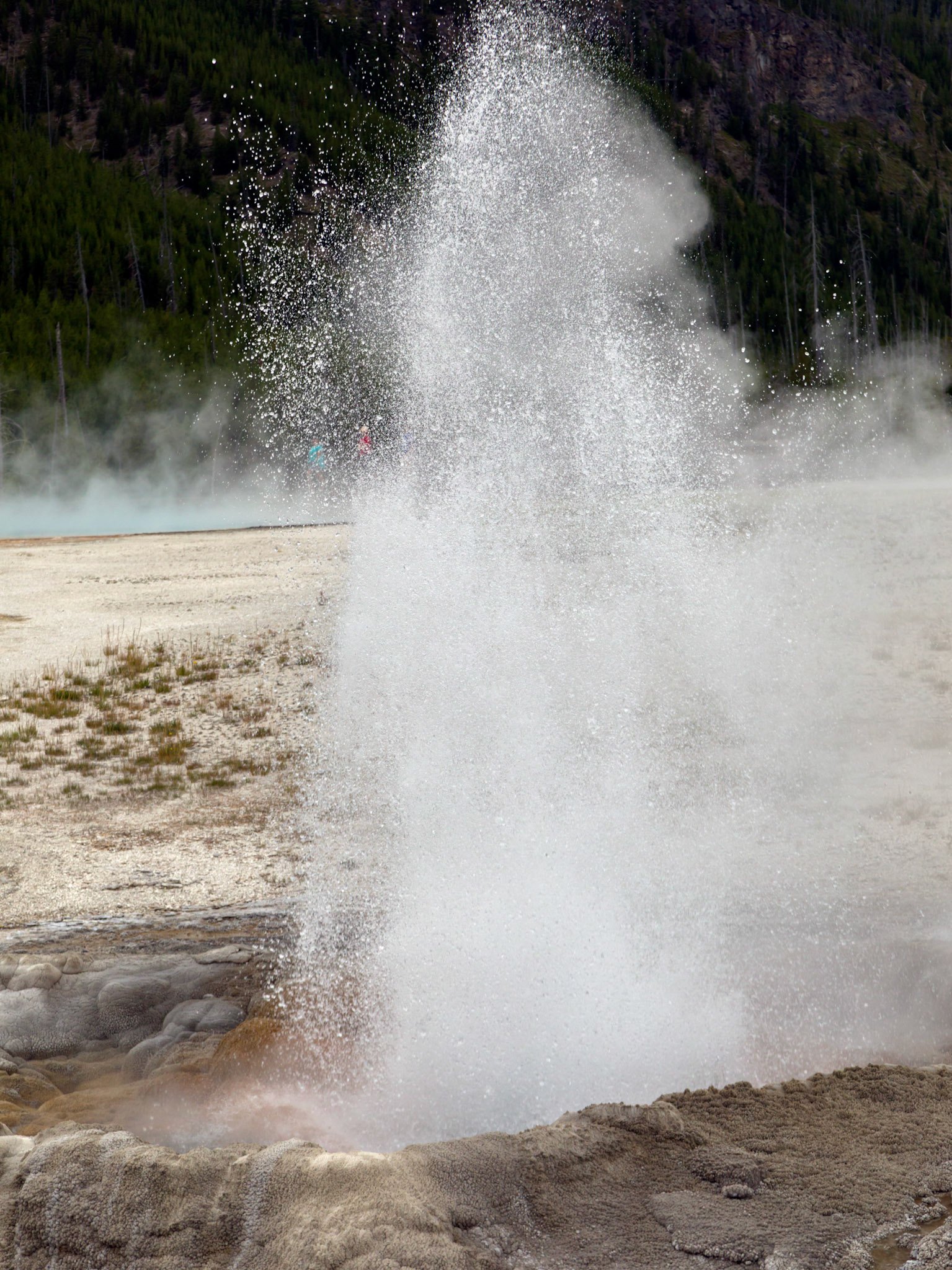 Cliff Geyser, Black Sand Basin, Yellowstone National Park, Wyoming.
