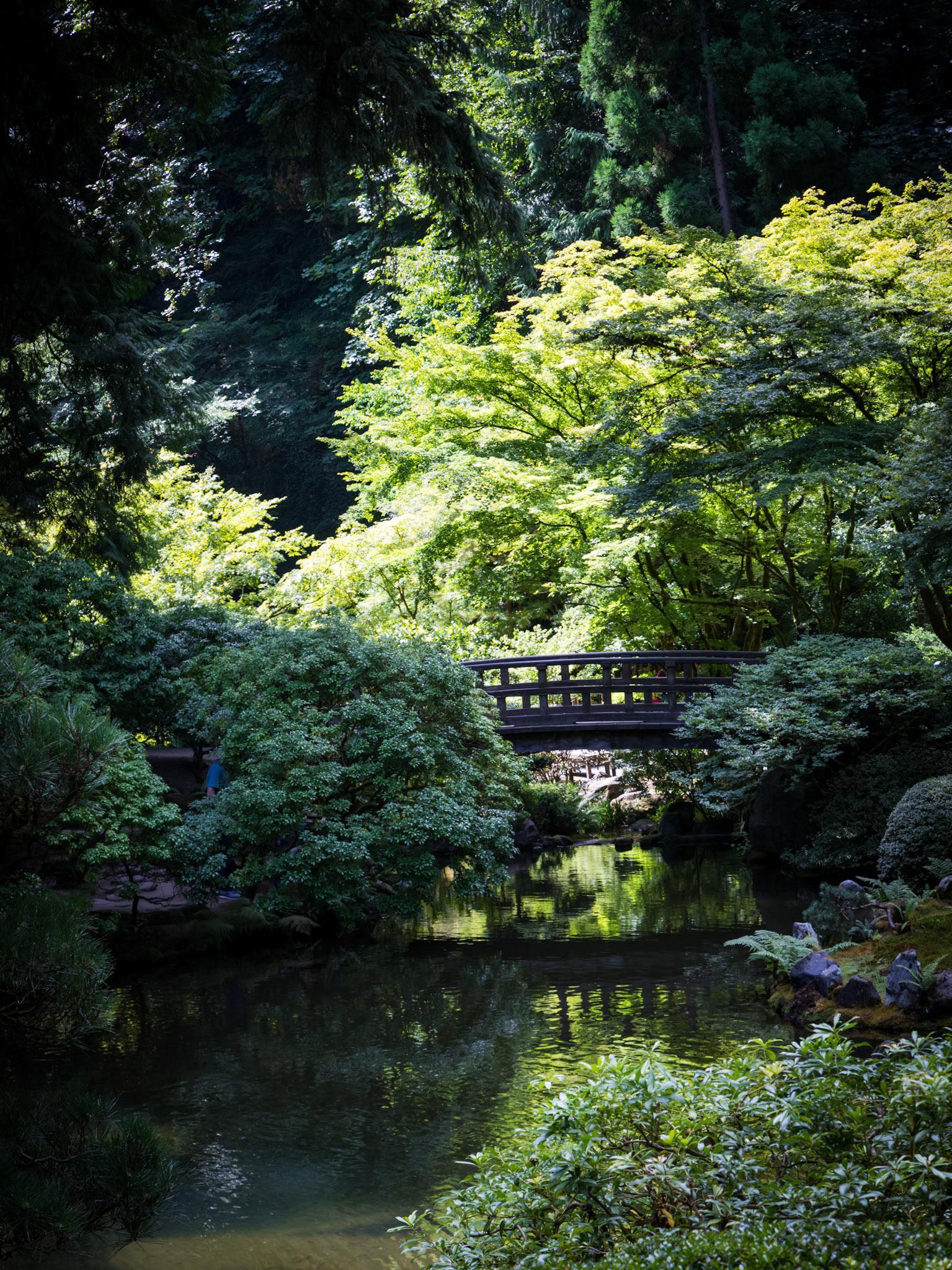 In the Portland Japanese Garden