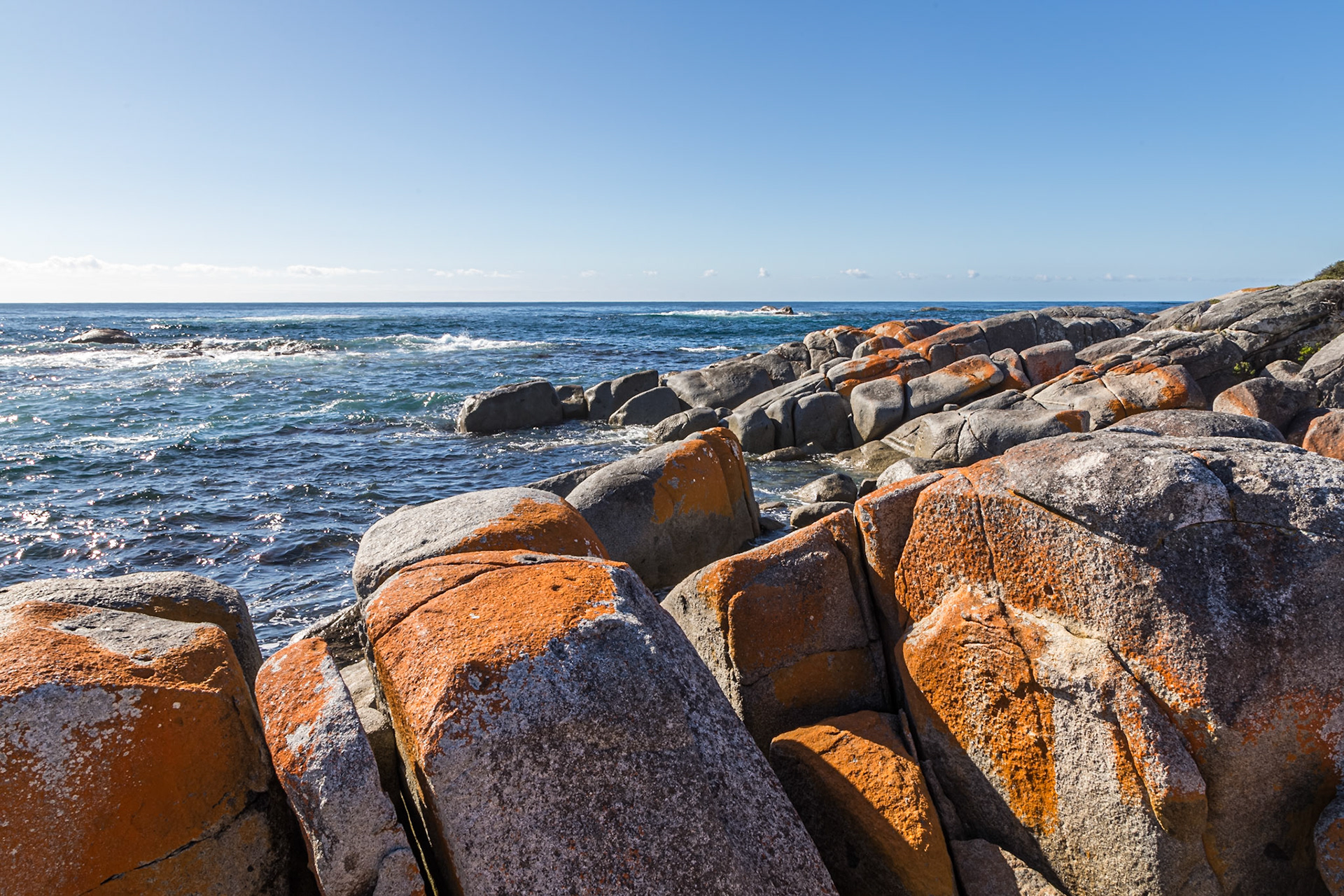 Bay of Fires - Colourful lichen on coastal boulders