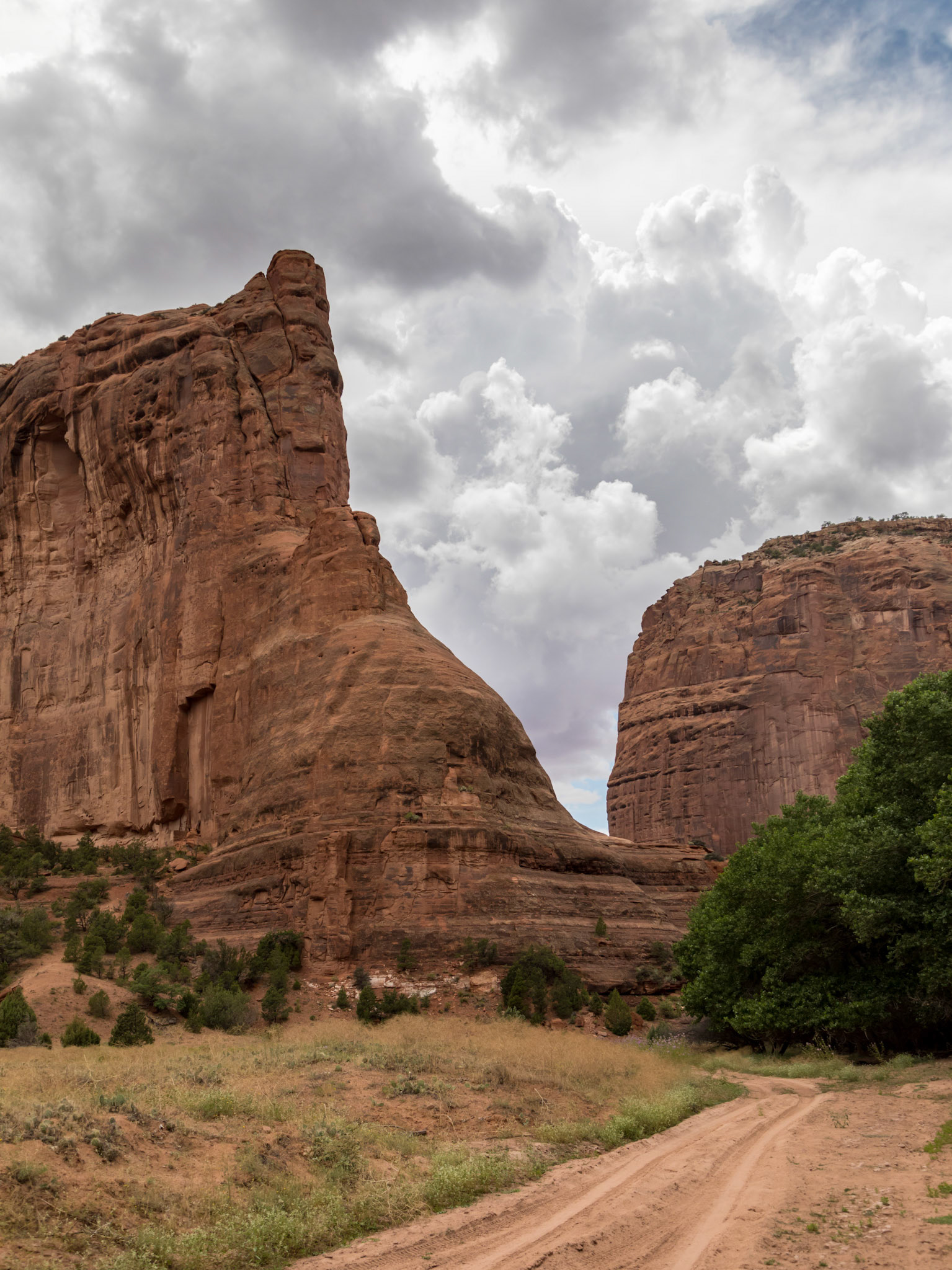 In the Canyon de Chelly