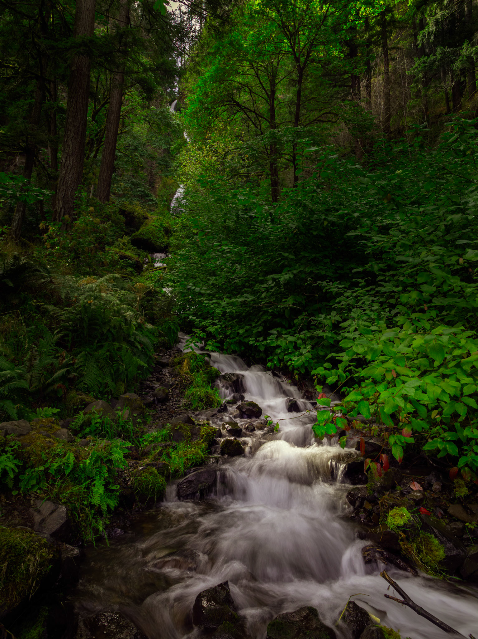 Wahkeena Falls