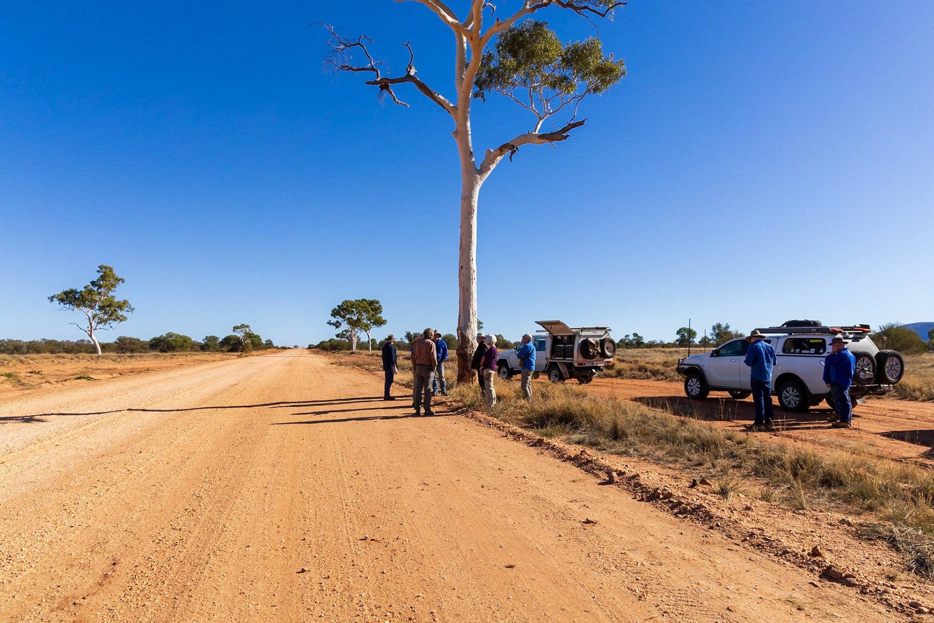 At a Len Beadell ghost gum plaque, Great Central Road