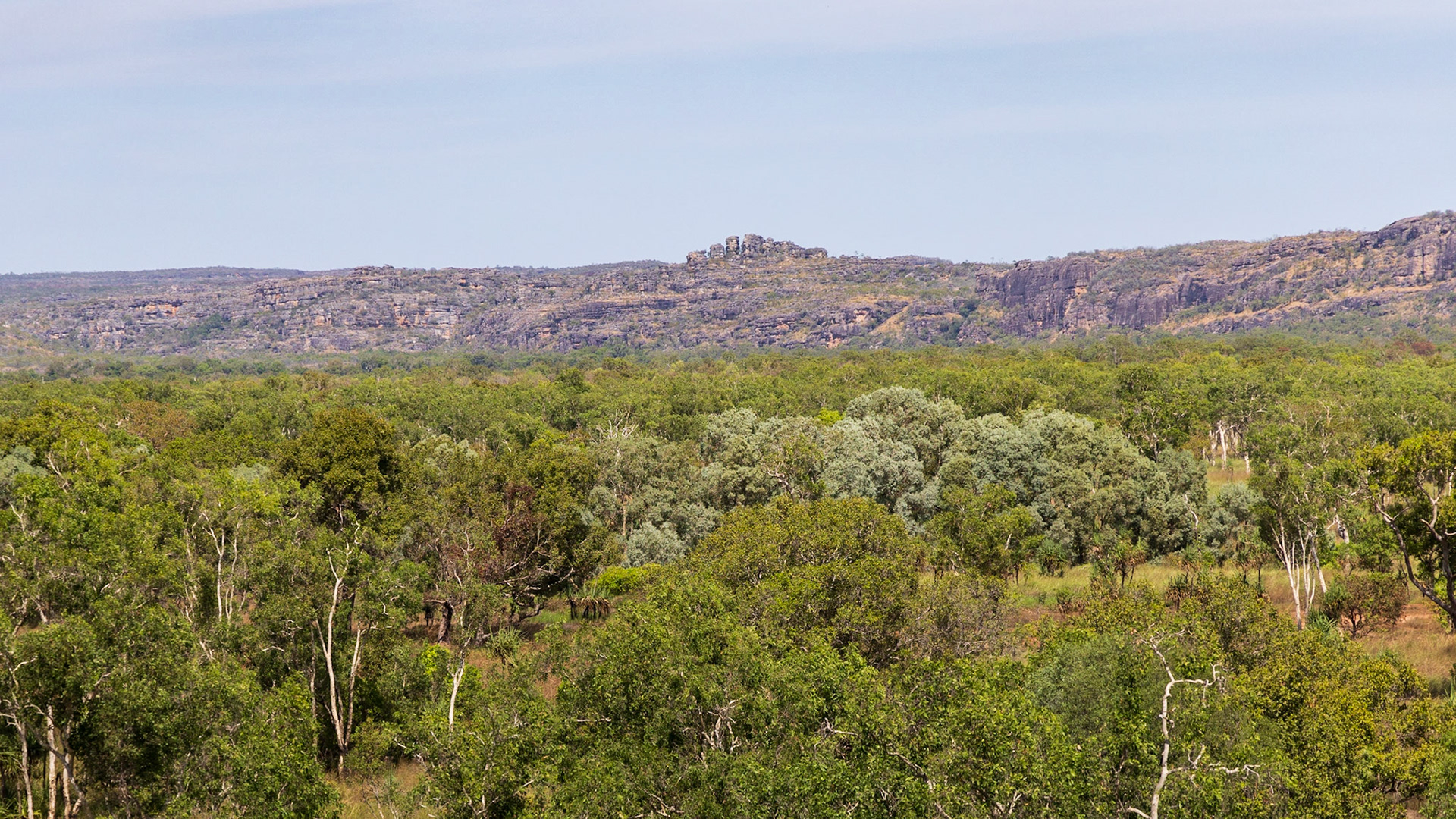 From Injalak Hill, Gunbalanya Wetland