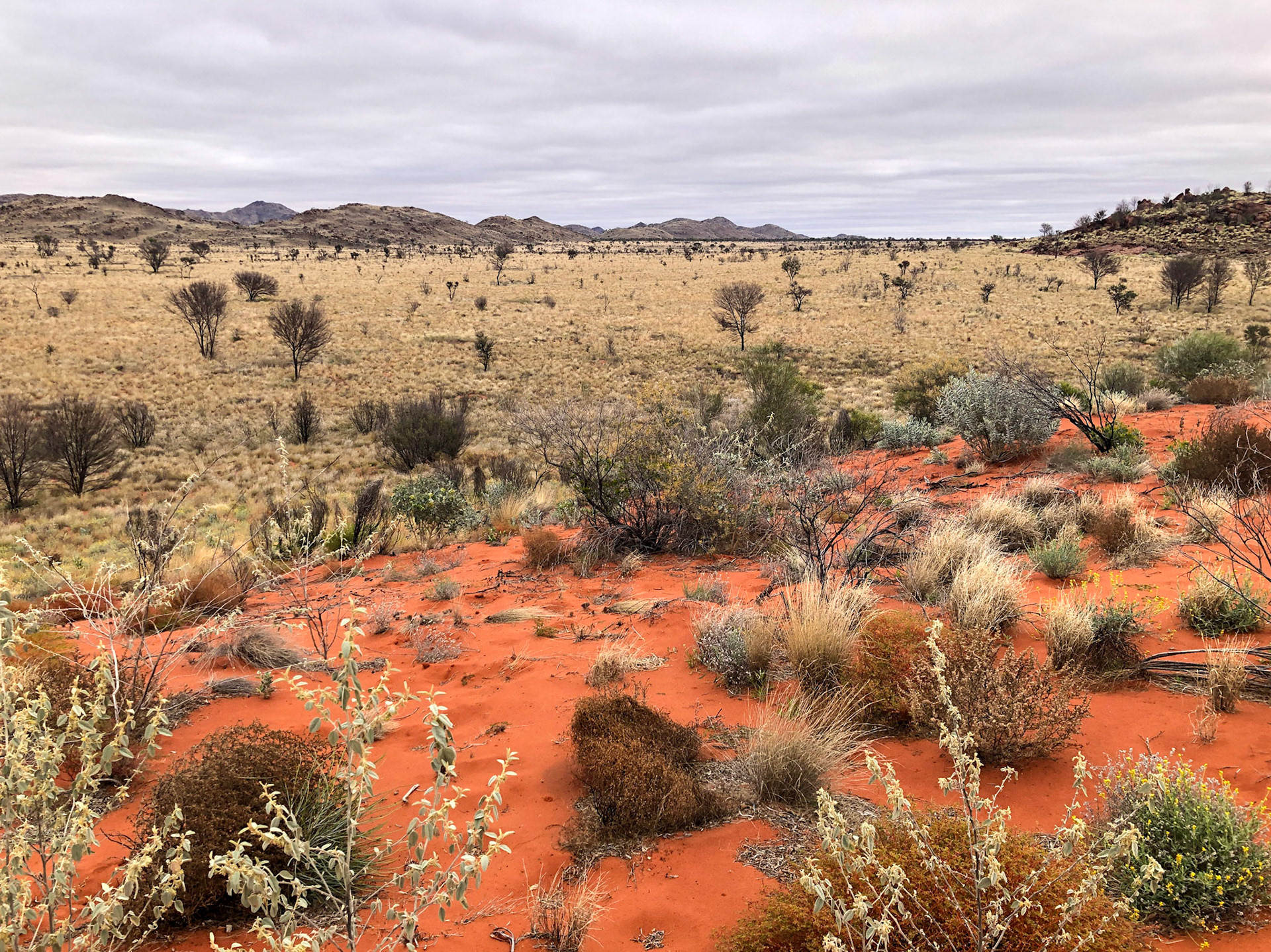 Sand dune and swale at campsite