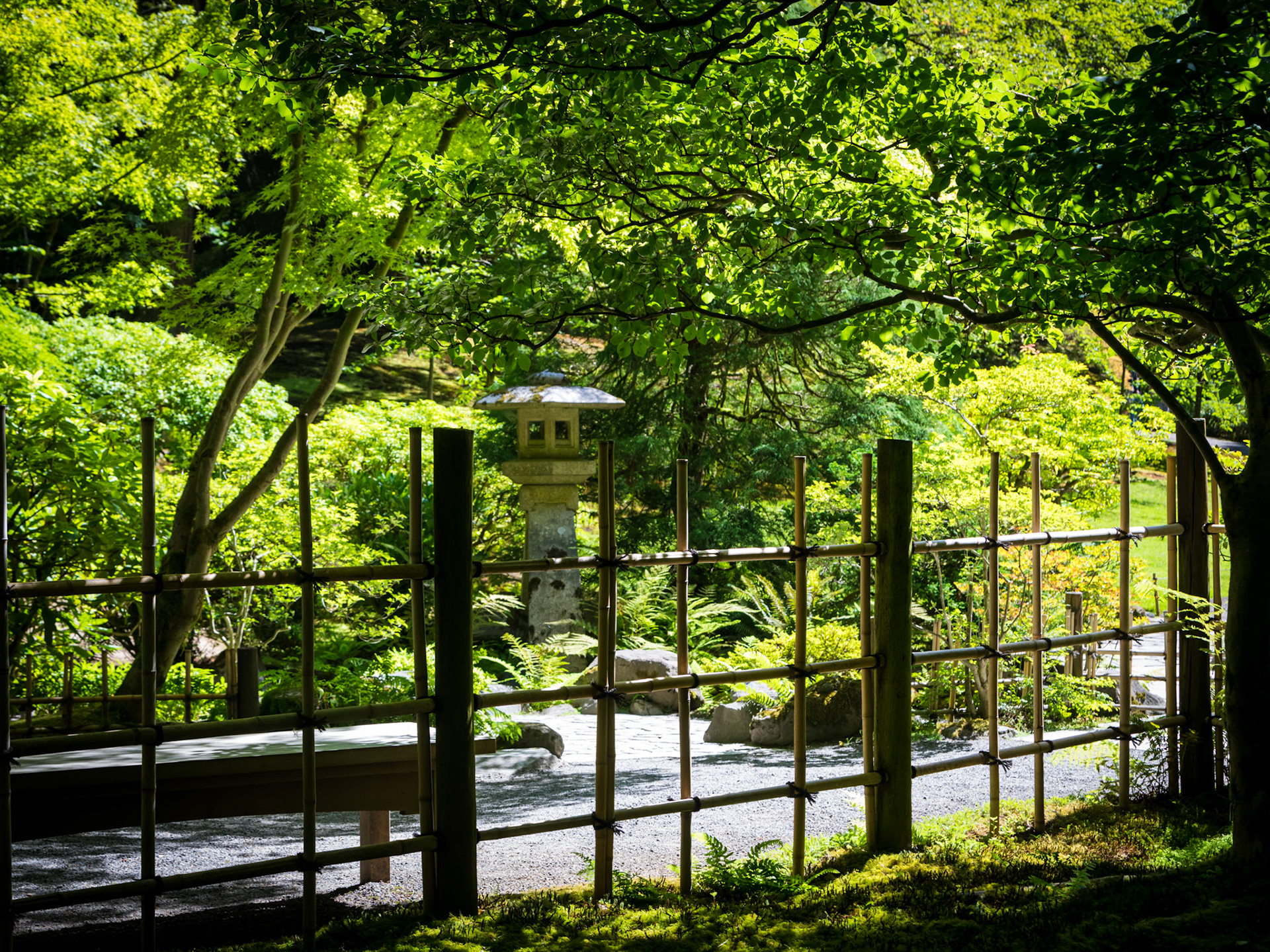 In the Portland Japanese Garden