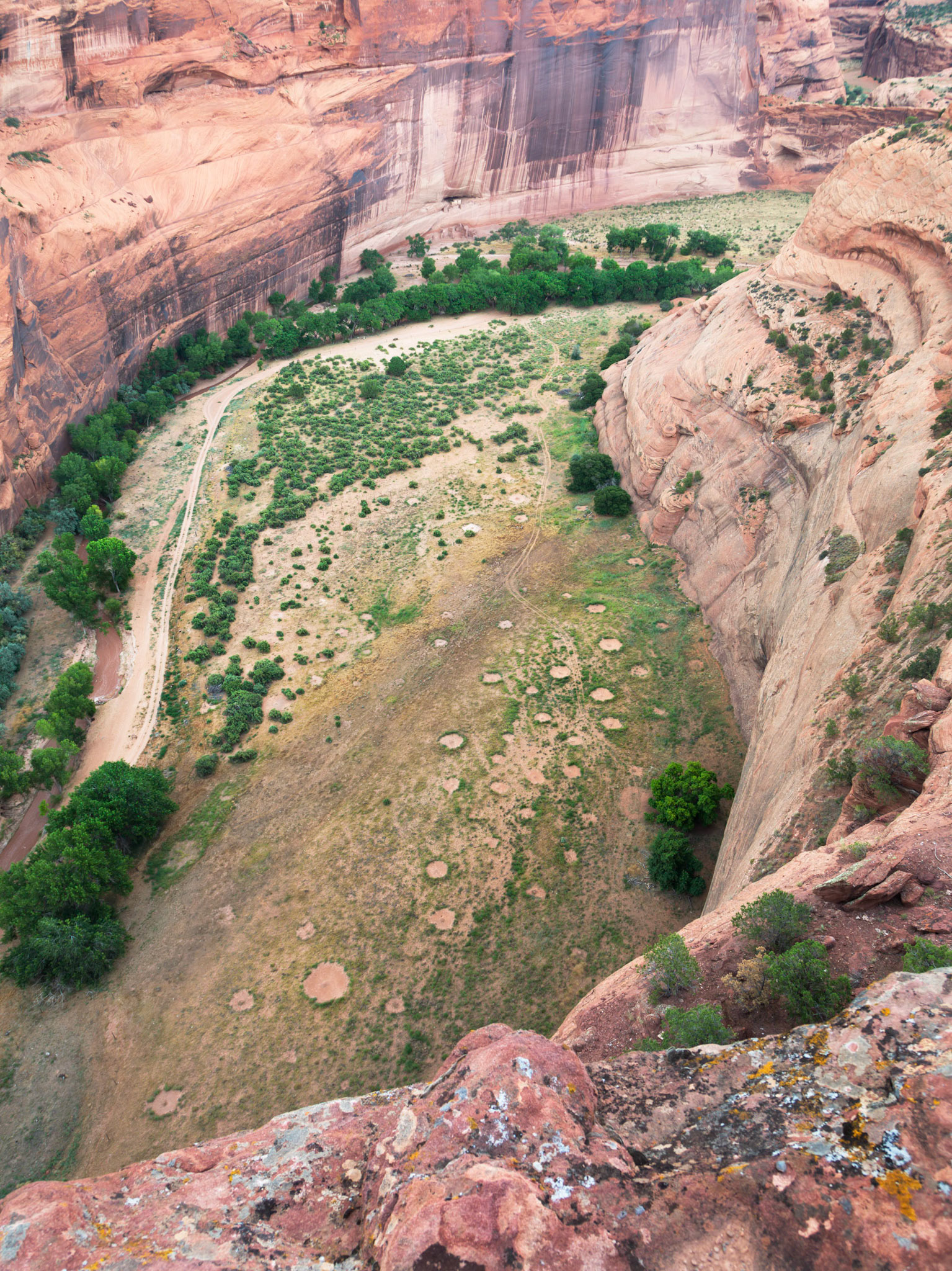 From the White House Overlook, South Rim.