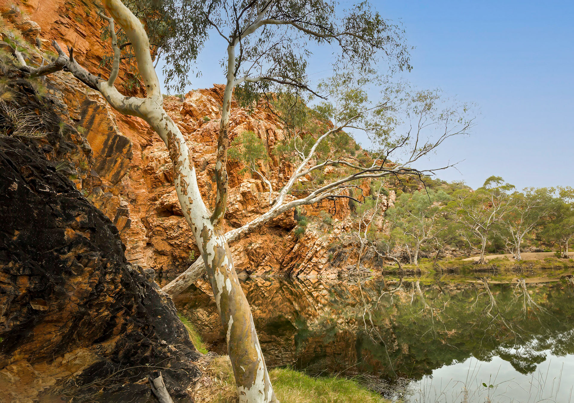 Ellery Creek Big Hole