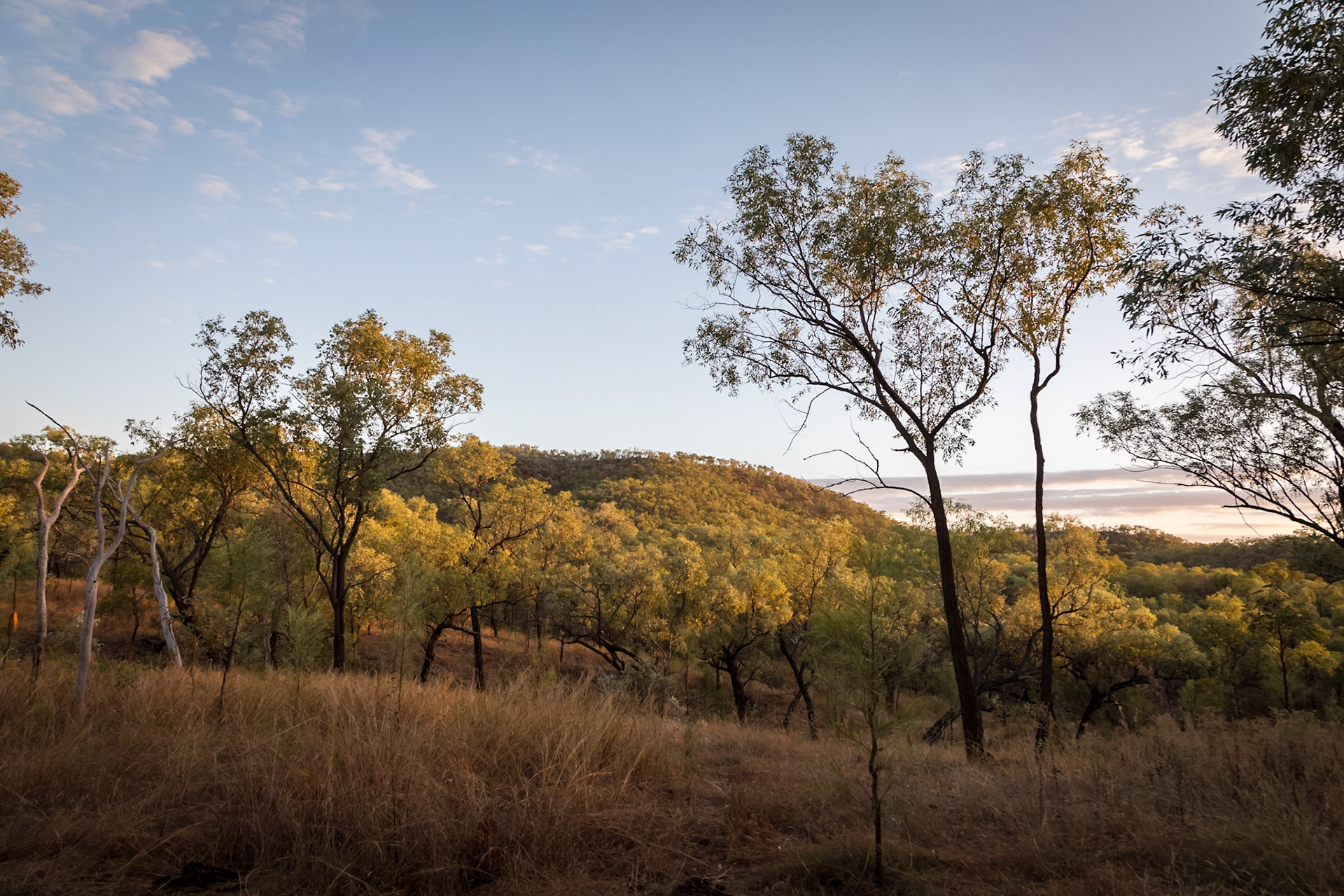 Dawn of Day, on the descent from Russell's Lookout