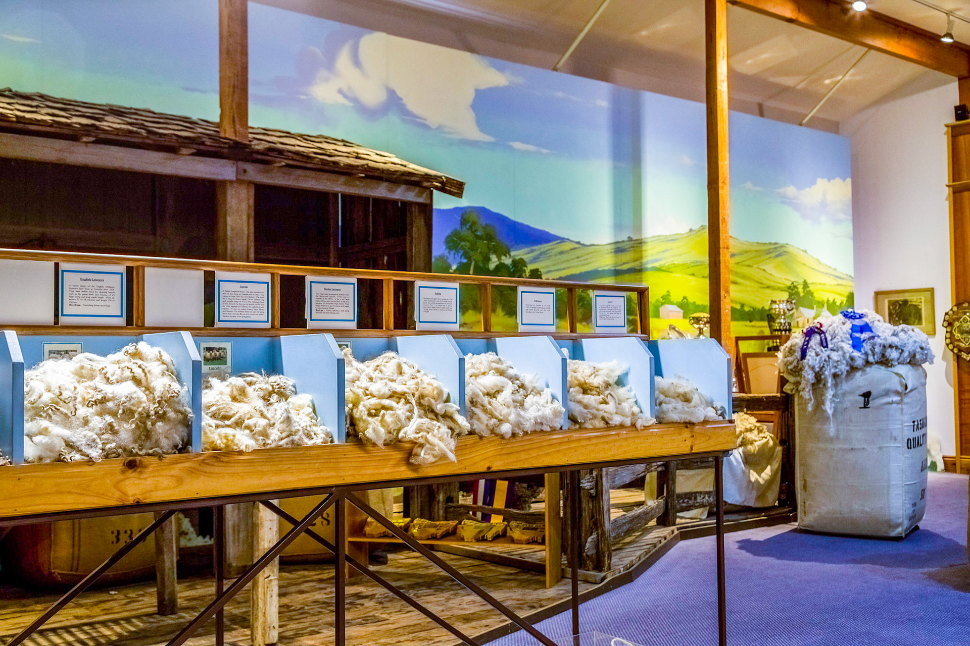 Ross, in the Tasmanian Wool Centre