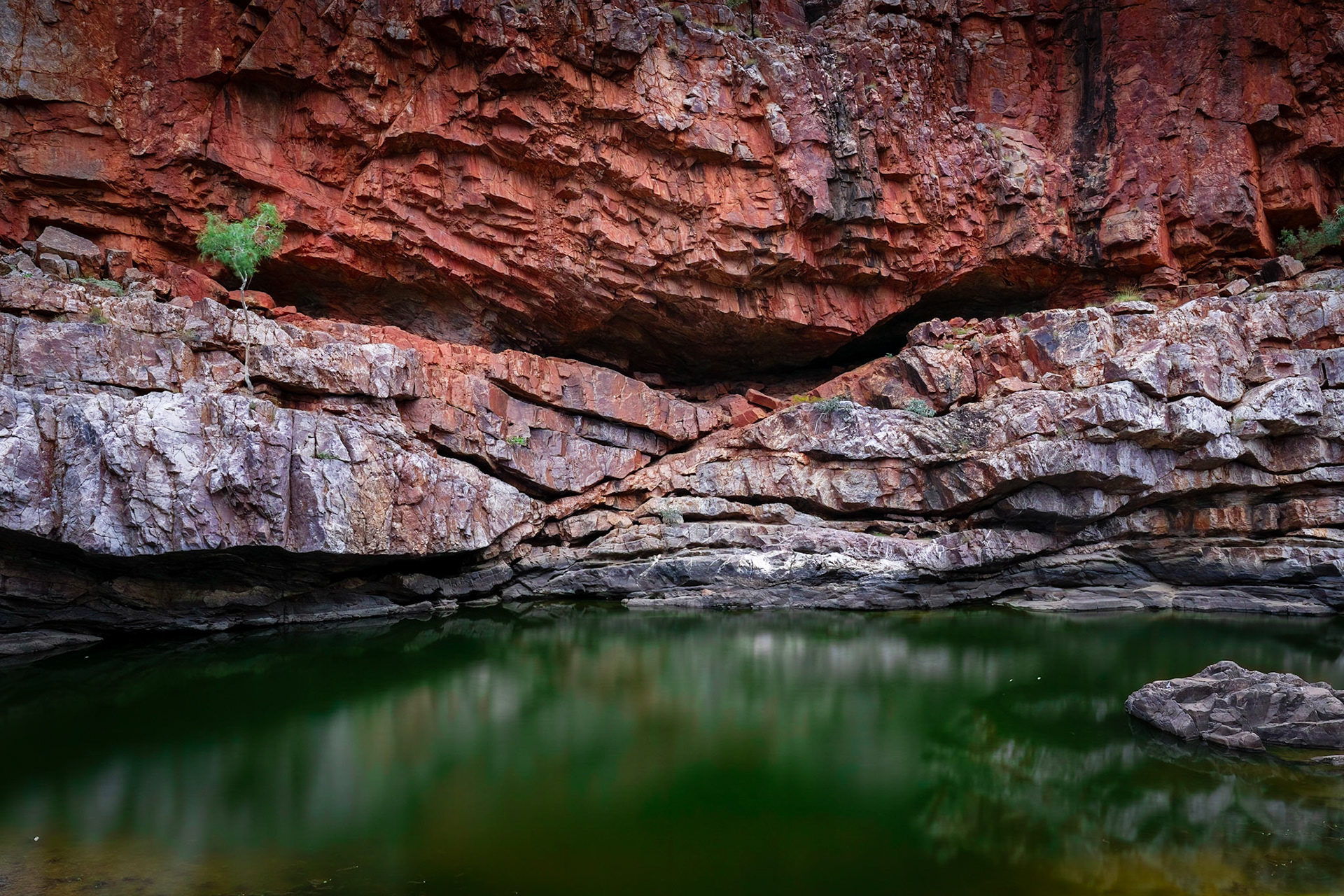 Ormiston Gorge, late afternoon