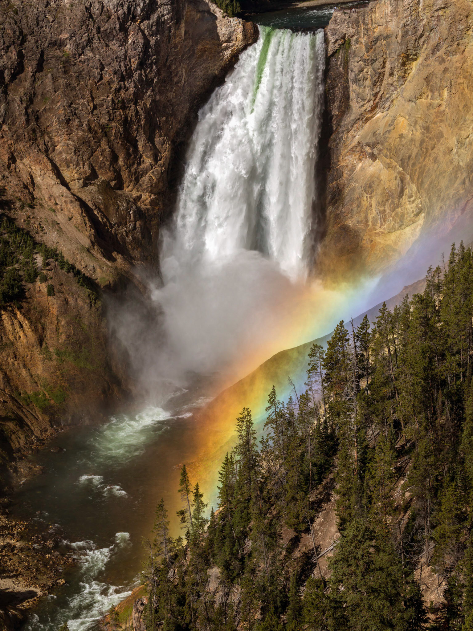 Lower Falls of the Yellowstone, Lookout Point