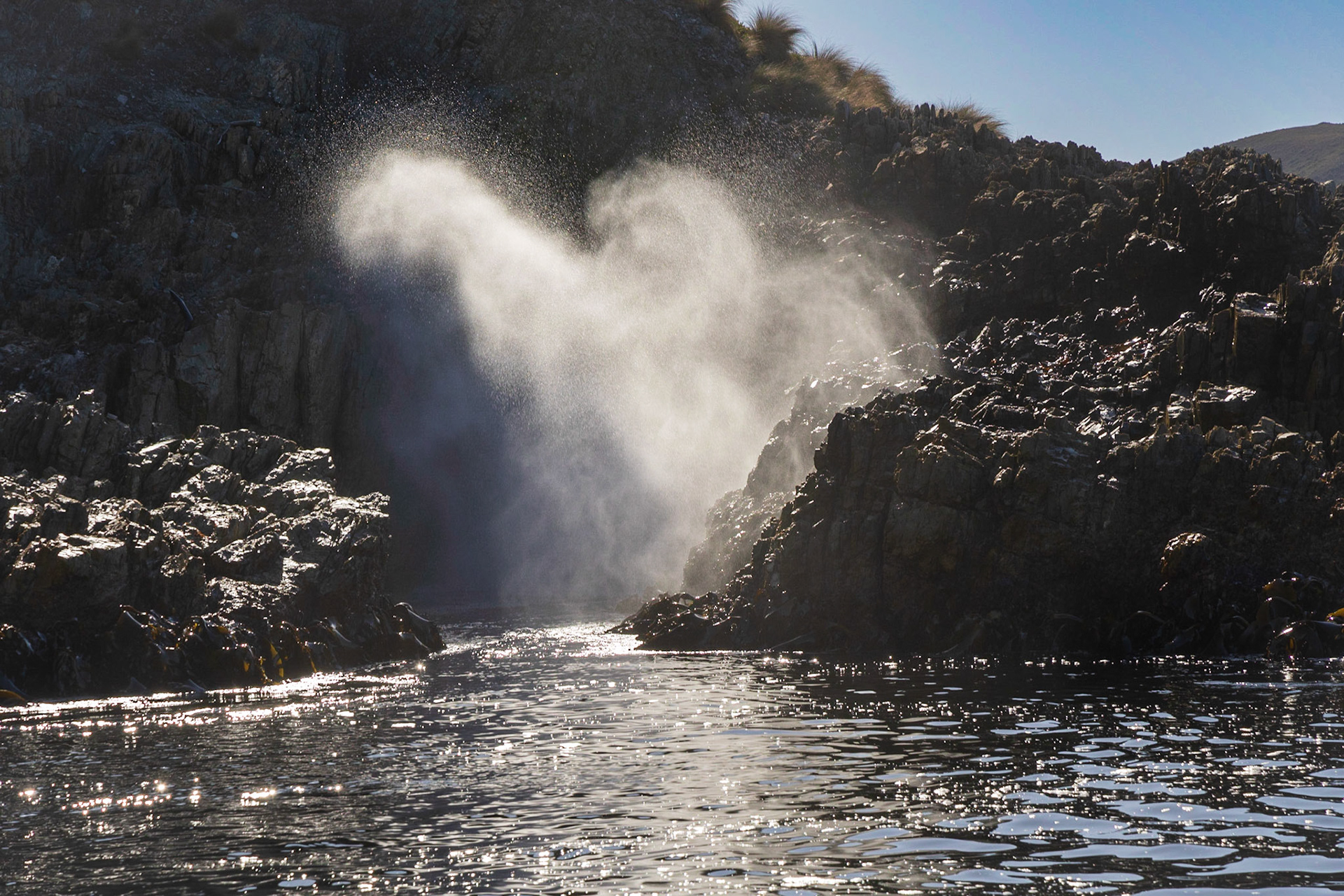 Blowhole. A cruise along the Breaksea Islands.