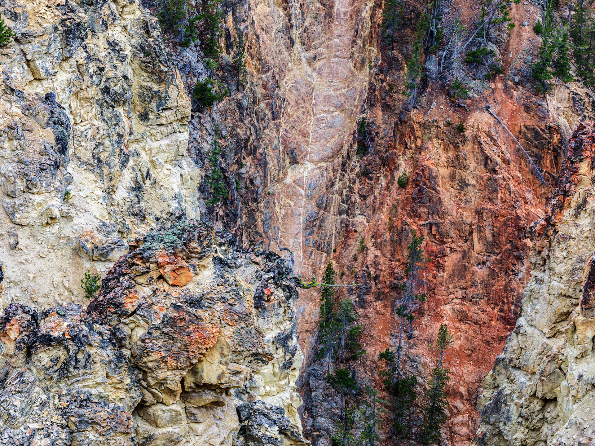 Grand Canyon of the Yellowstone