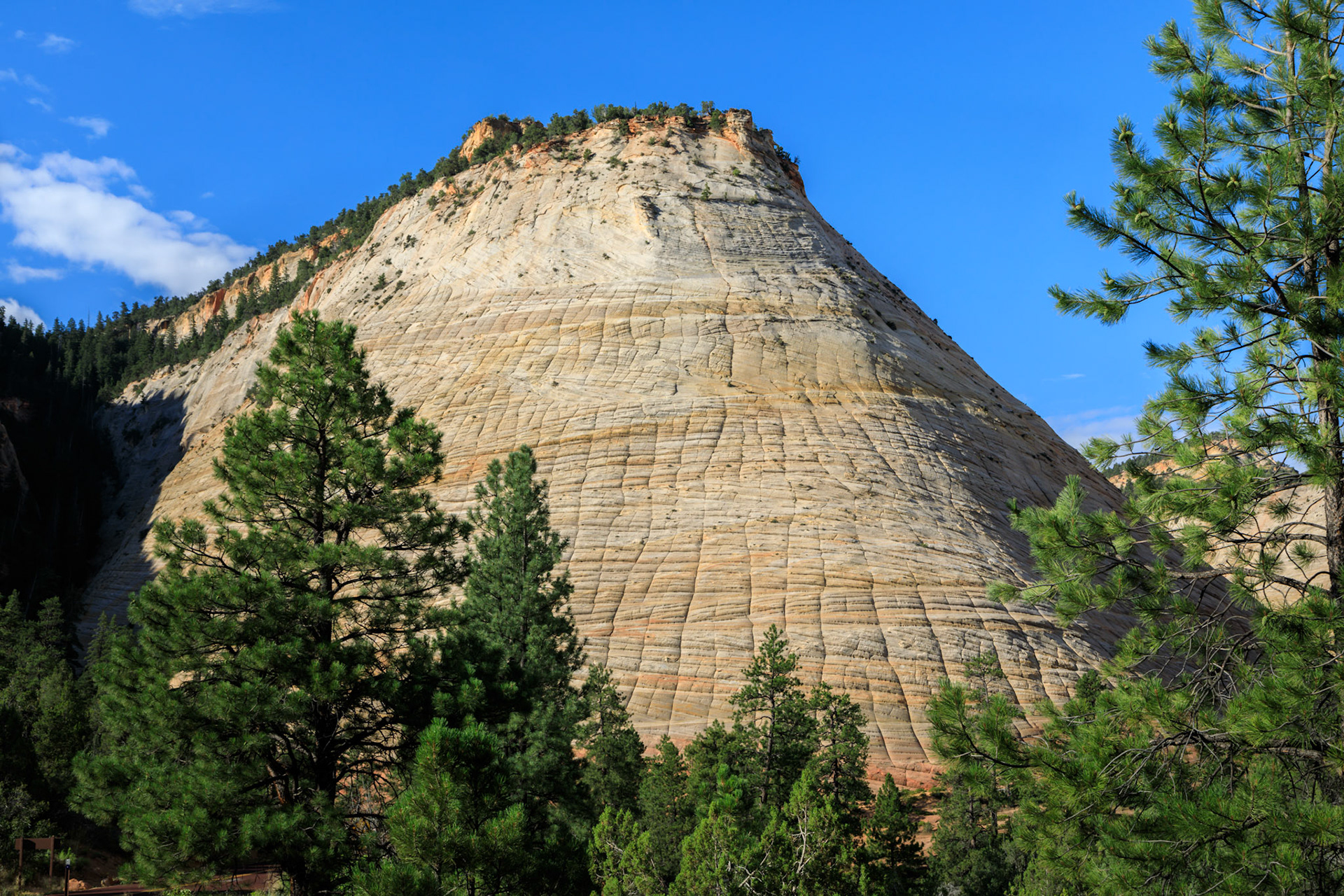 Checkerboard Mesa, Zion - Mt Carmel Highway