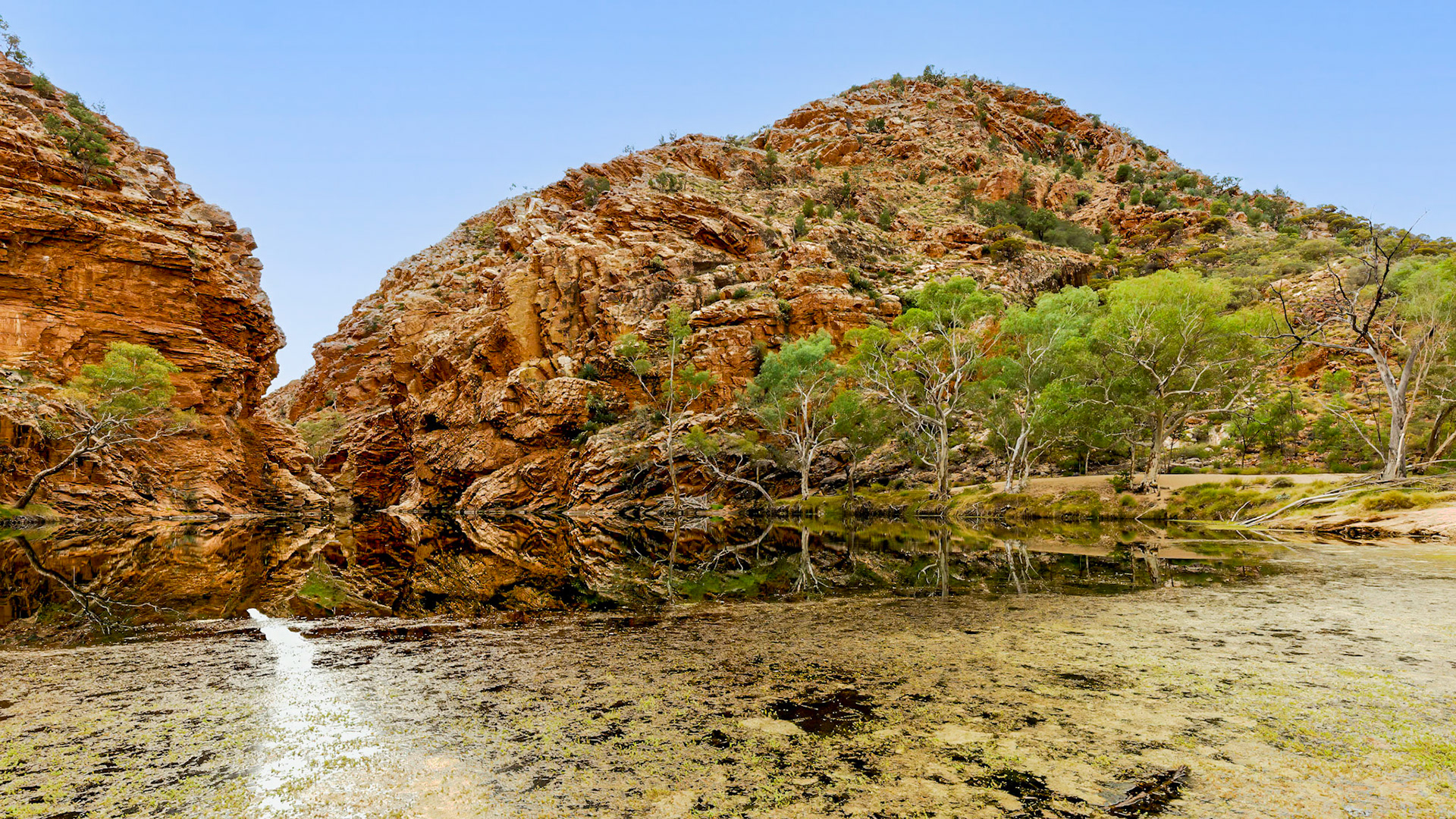 Ellery Creek Big Hole