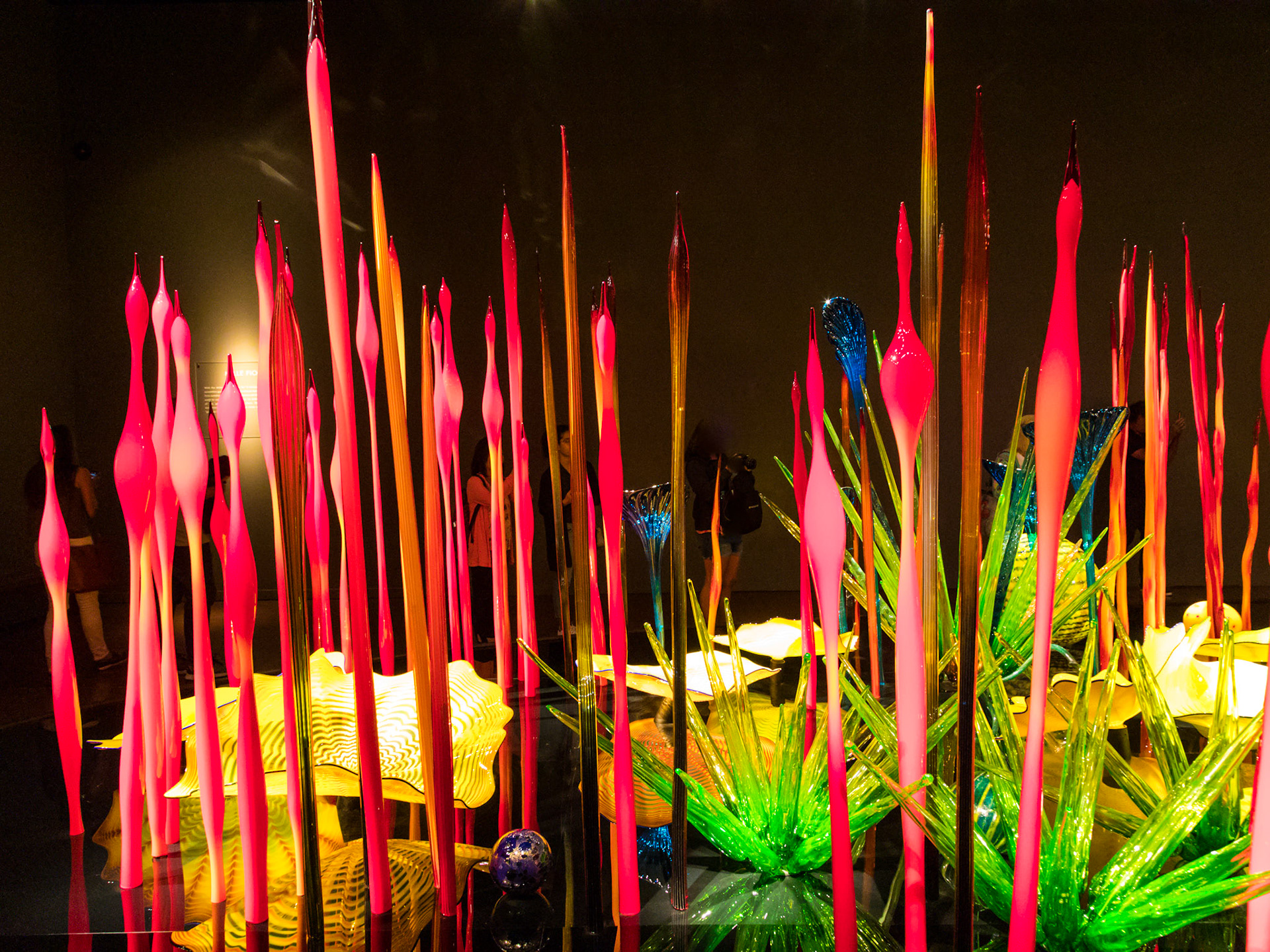 Mille Fiori; Chihuly Garden & Glass
