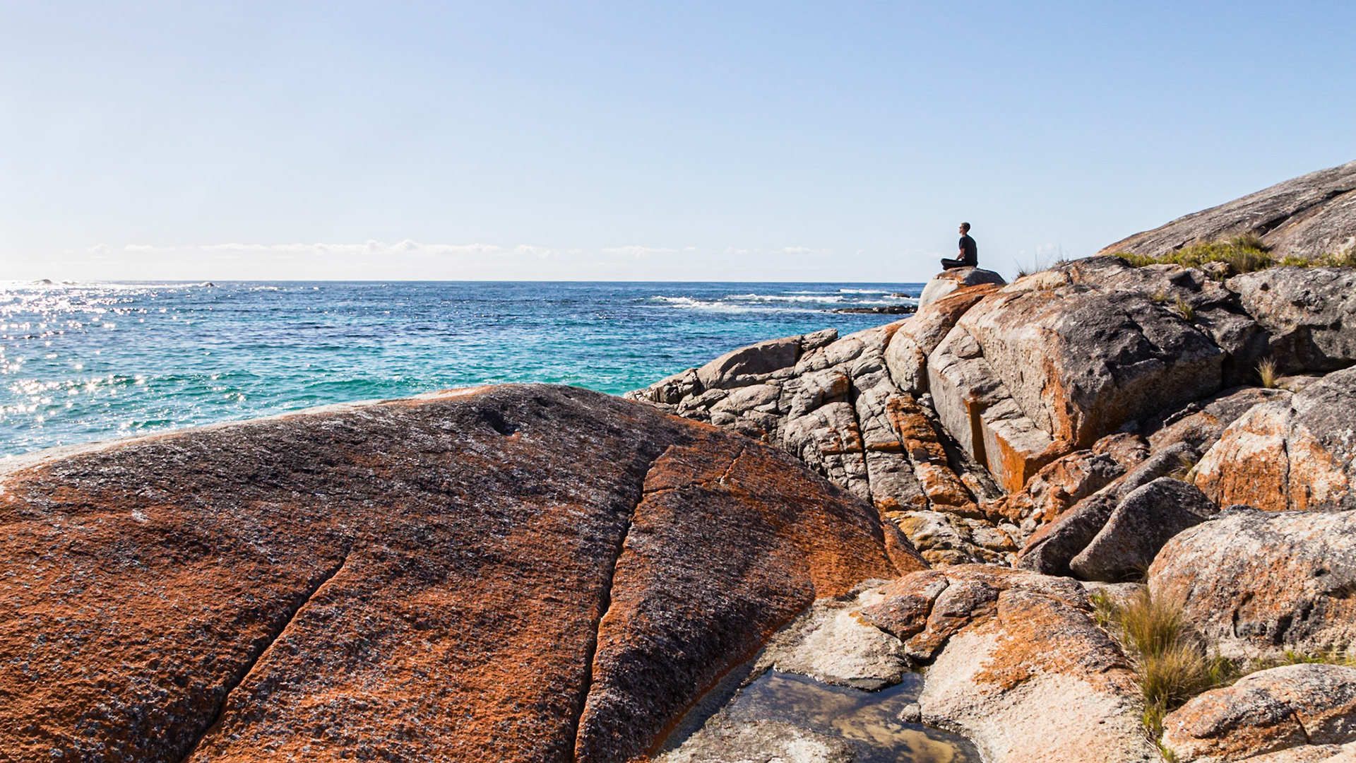 Bay of Fires - Colourful lichen on coastal boulders