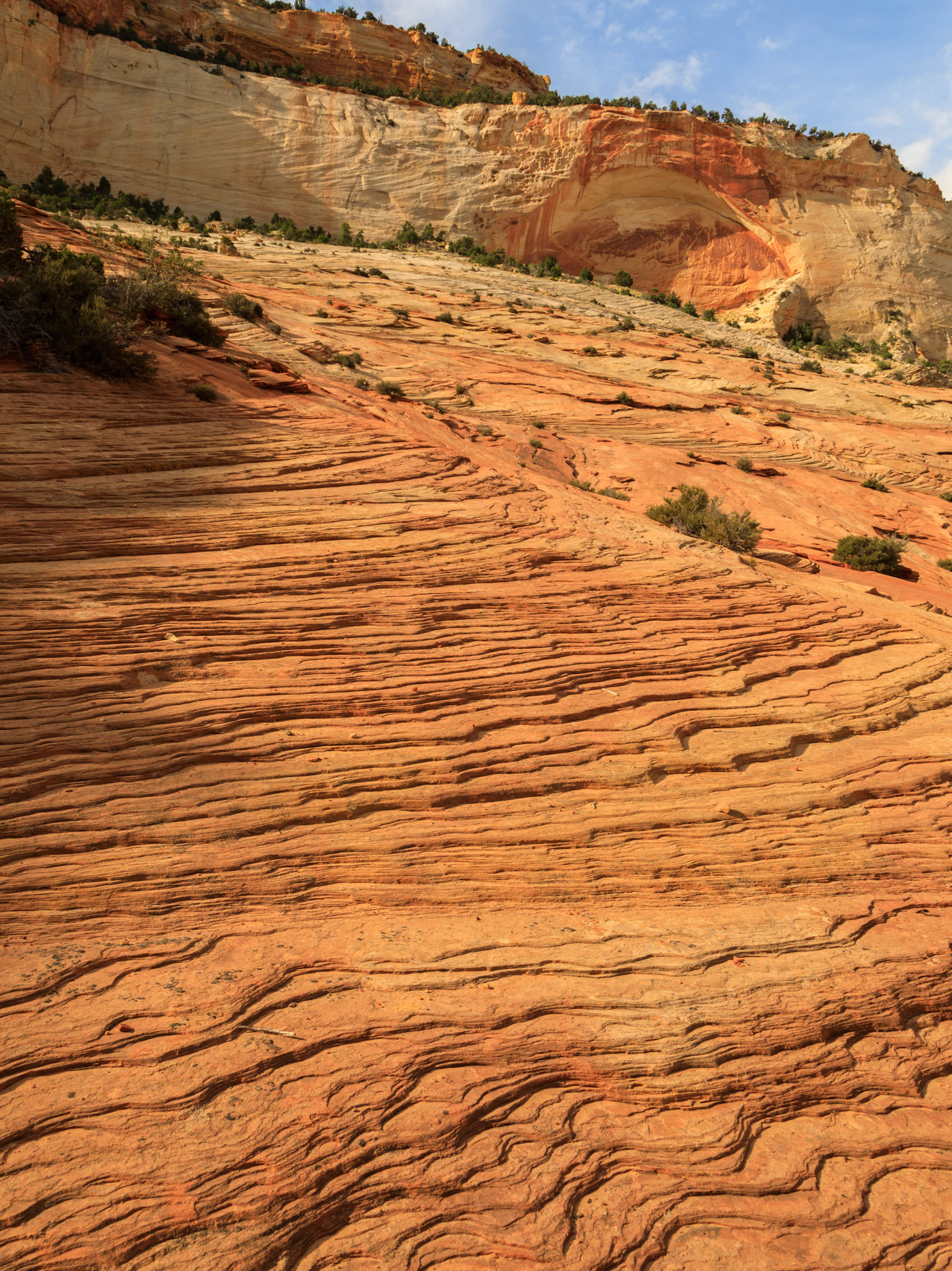 Geological interest on the slopes above Pine Creek