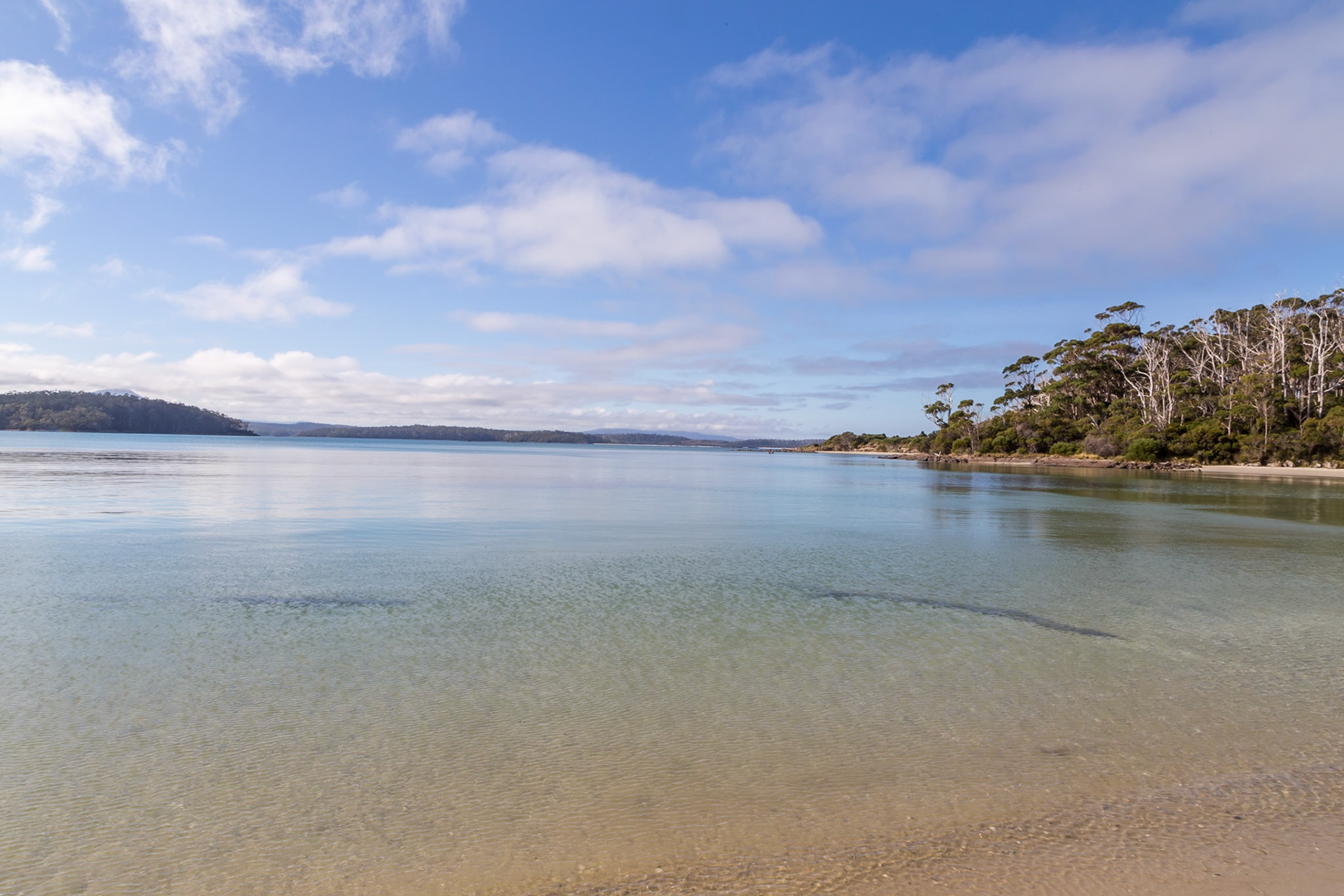 On the beach walk out to Fishers Point In Recherche Bay, DÉntrecasteaux Channel