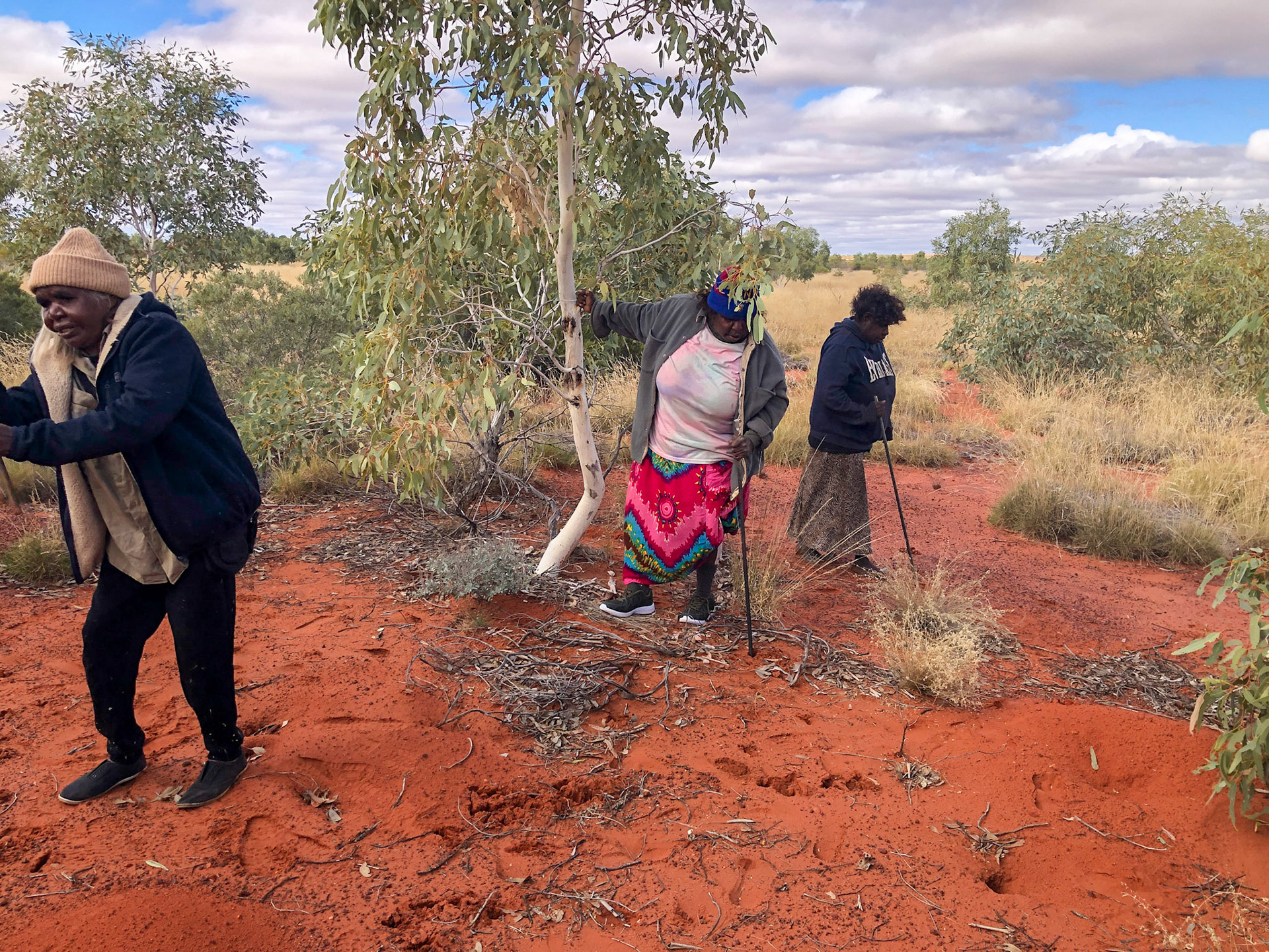 Mantua, Yalti &amp; Yukultji, seeking goannas