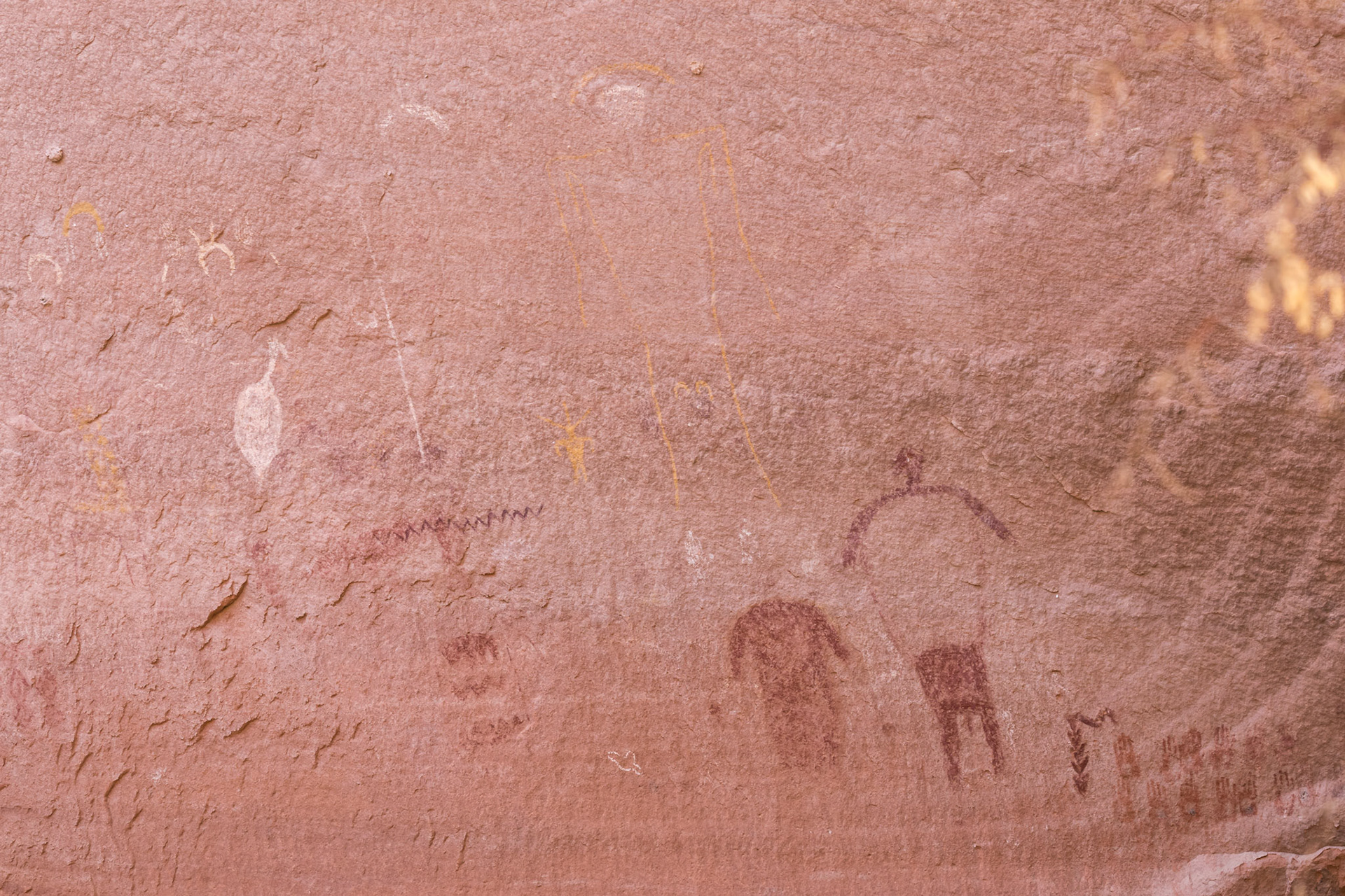 Petroglyphs & pictographs on the canyon wall