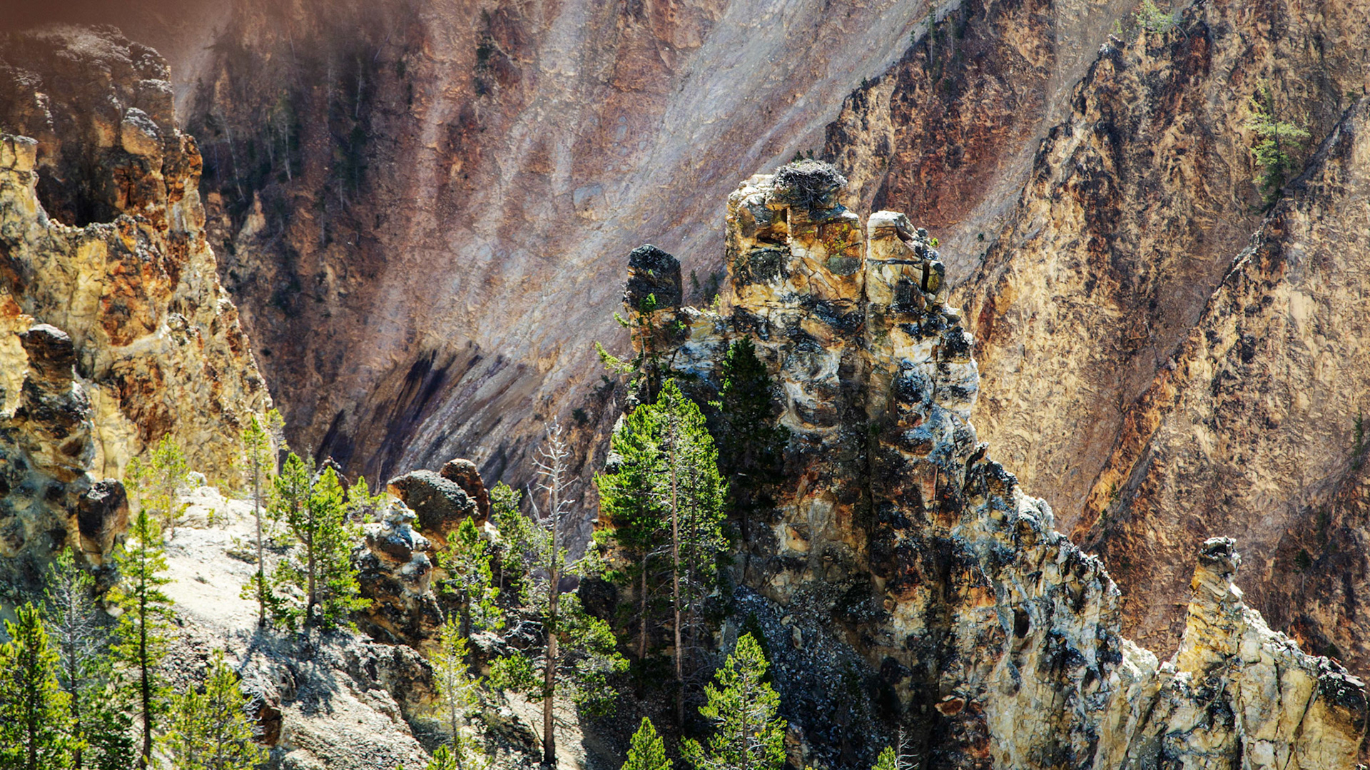 Grand Canyon of the Yellowstone