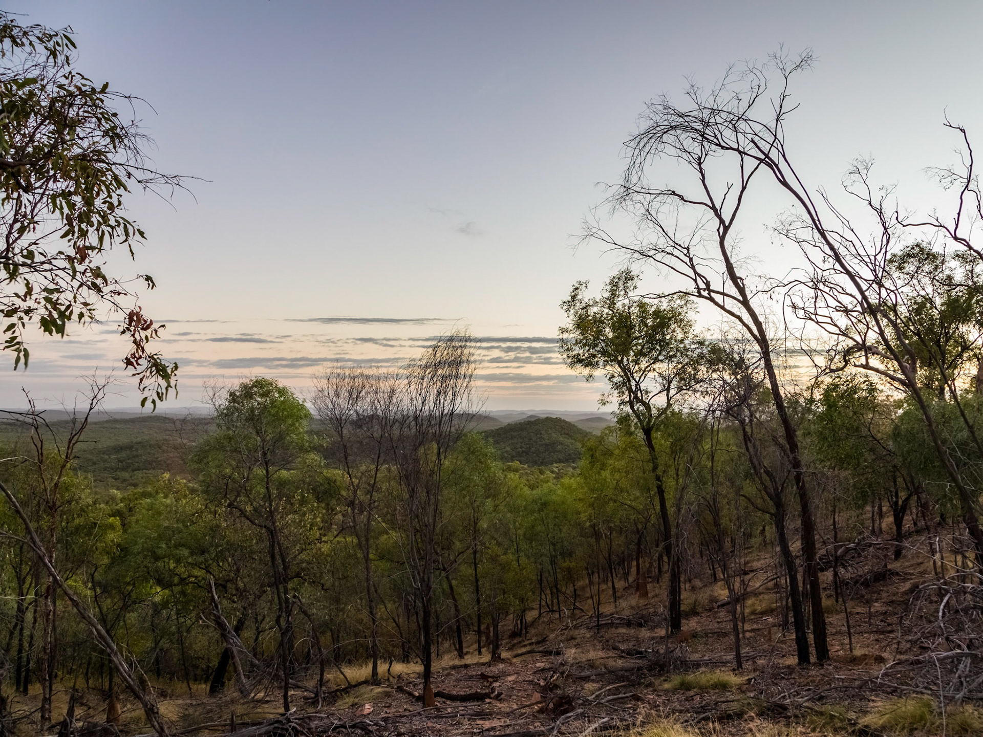 View to the West from Russell's Lookout at sunrise. Pre-dawn hike to Russell's Lookout, 4.5km return  (Grade 3 difficulty).