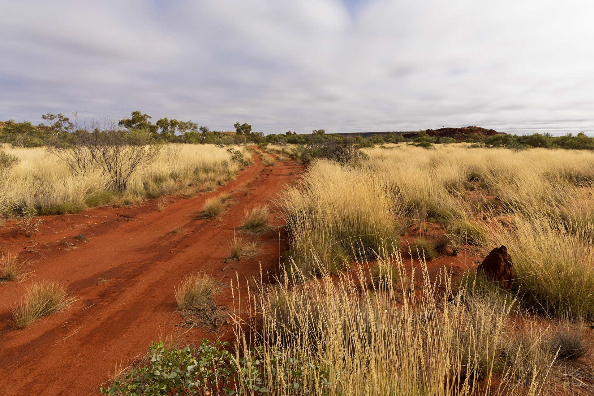 Munderri Outstation surrounds, Day 9