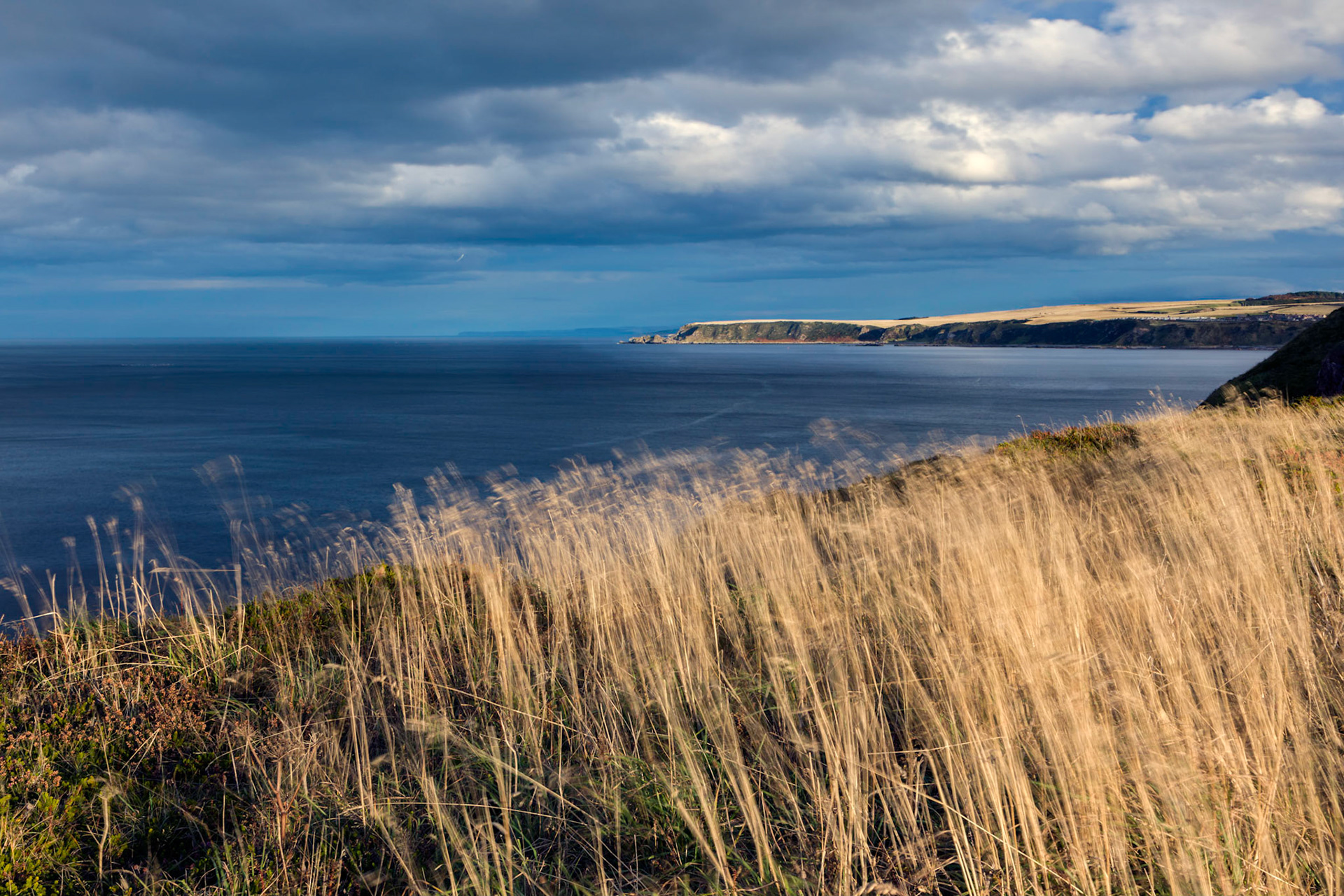 Vicinity of Bow Fiddle Rock, Portknockie