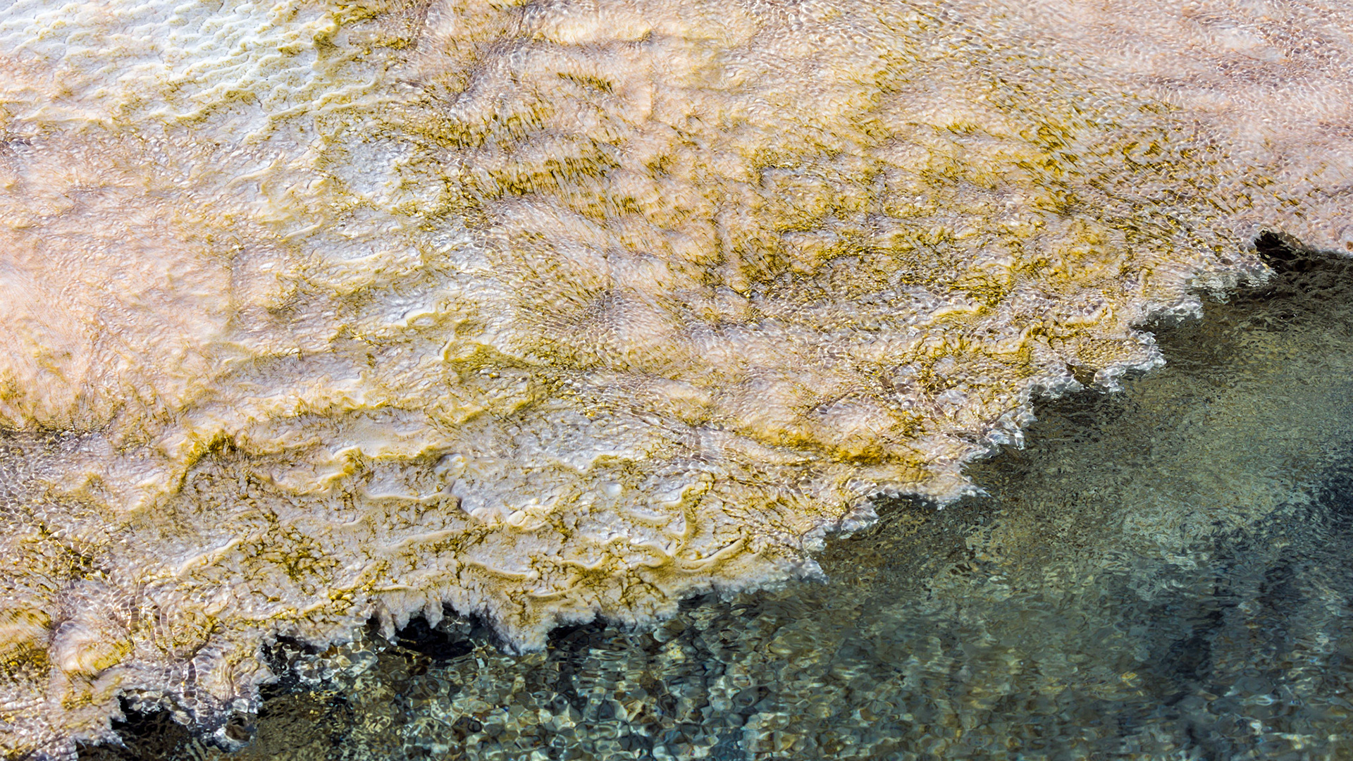 Lower Terraces, Mammoth Hot Springs