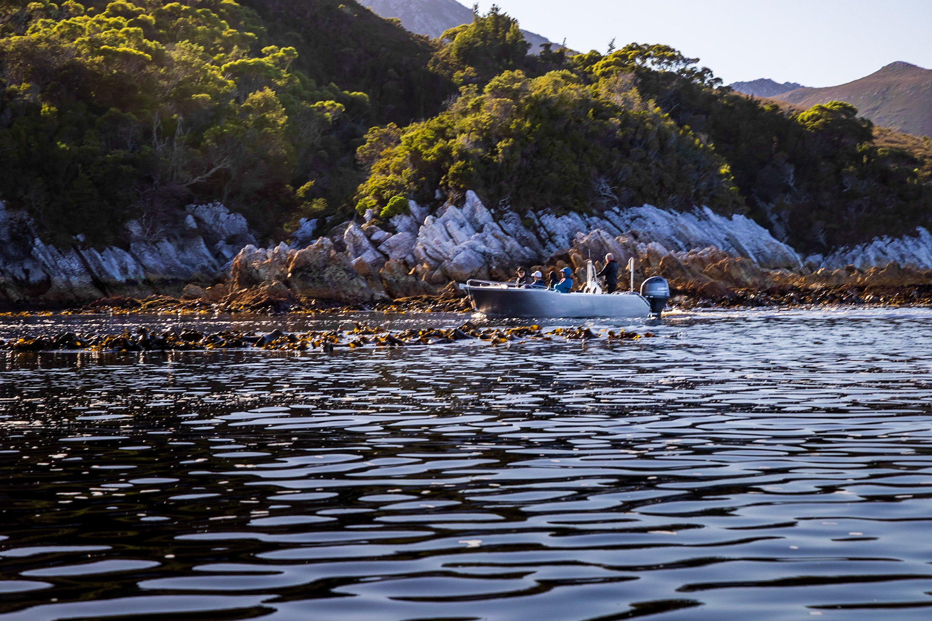 A cruise along the Breaksea Islands